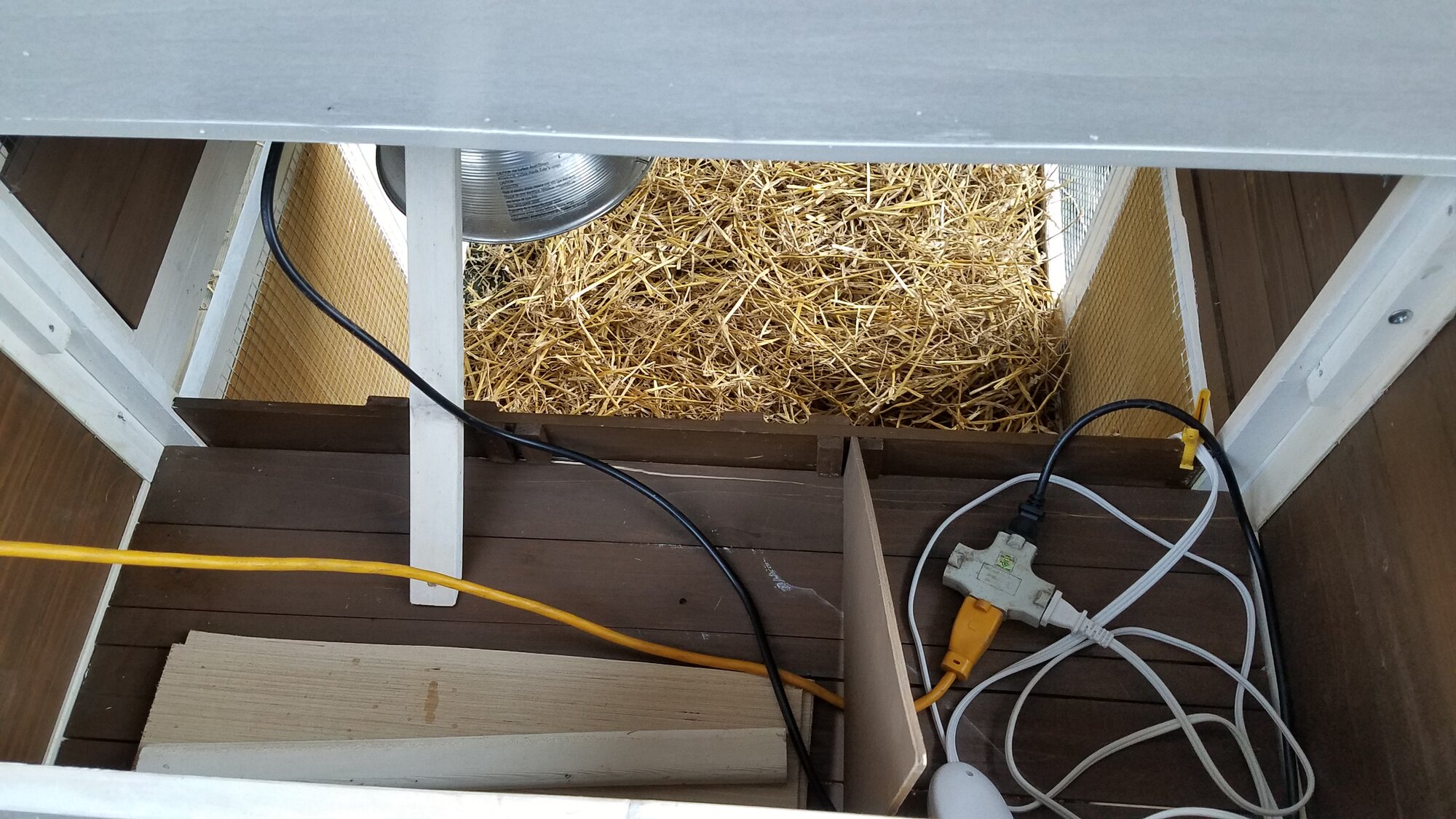 Electric cables in the upper compartment of the duckling-house