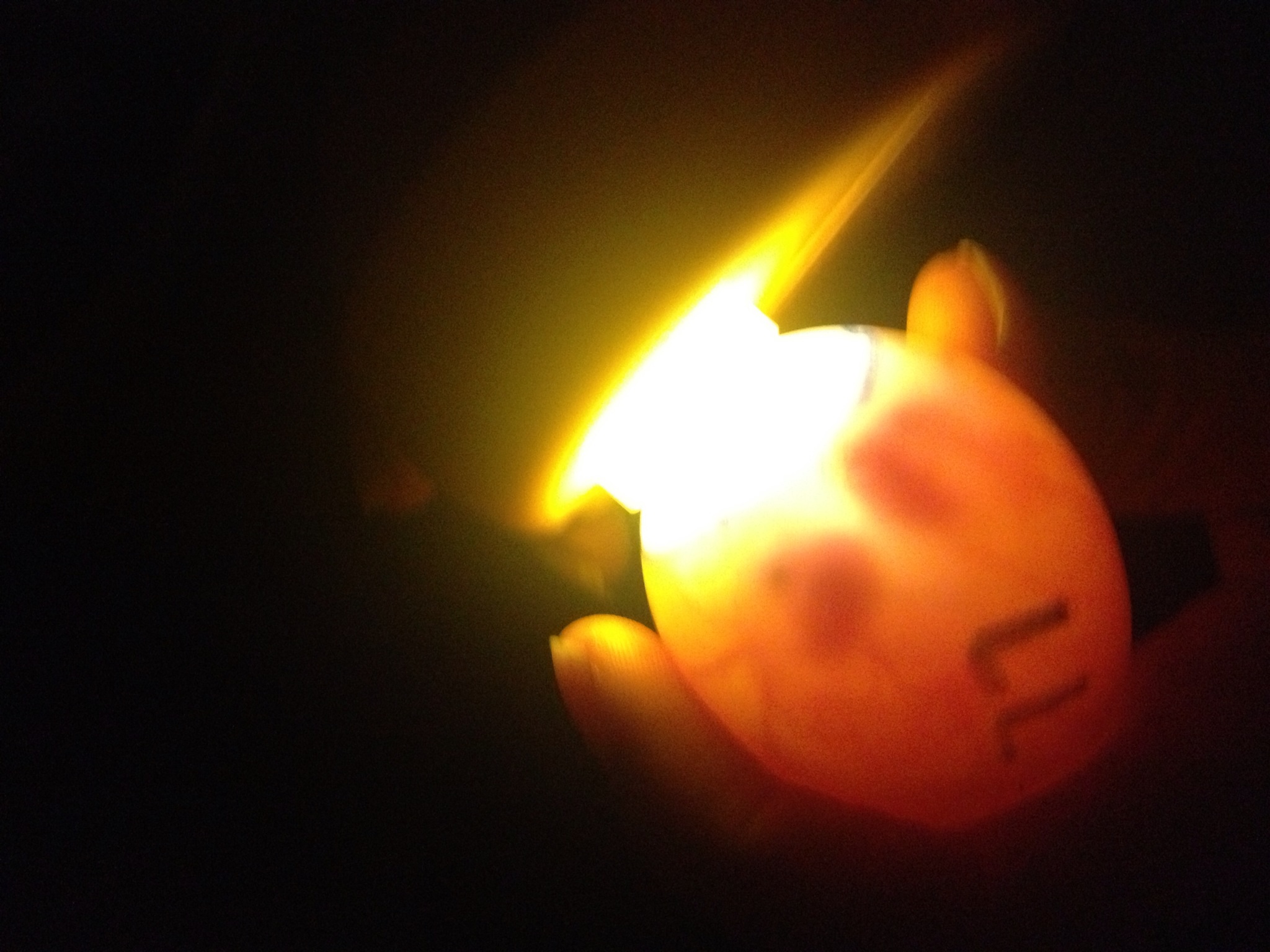 Embryos 10 days old