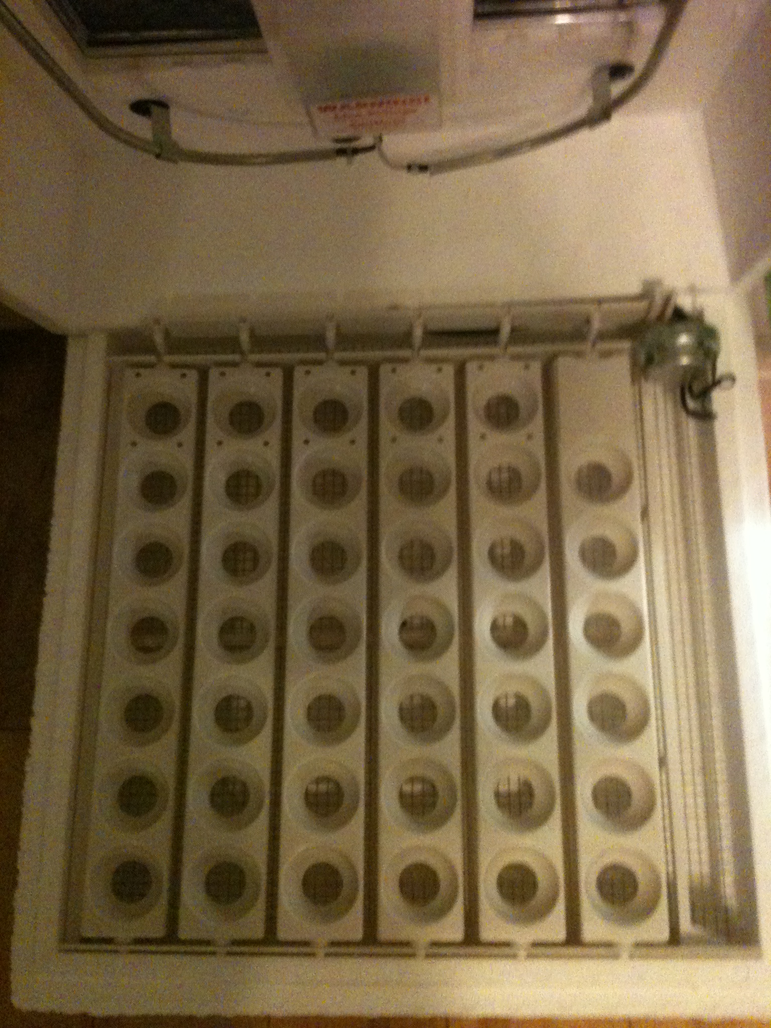 empty bator before adding eggs....
