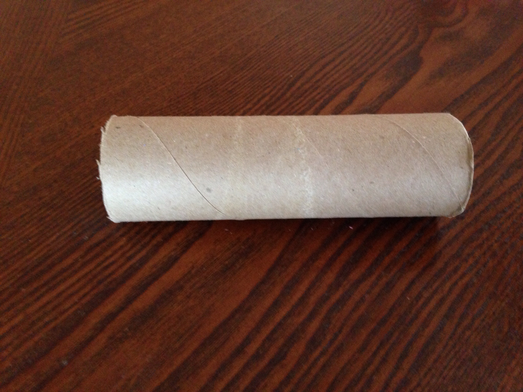 Empty paper towel roll cut in half. I
