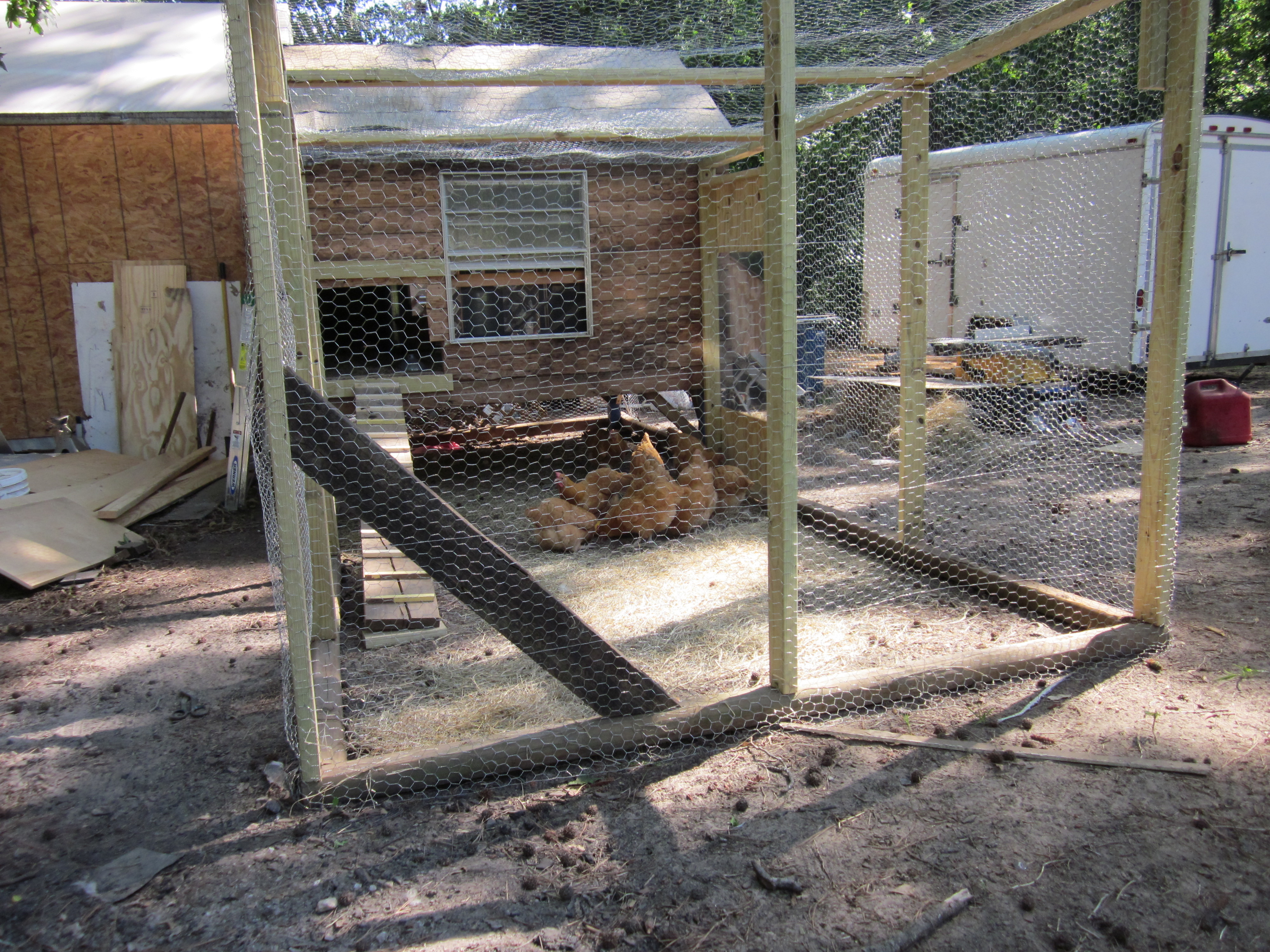 End view of the chicken yard.