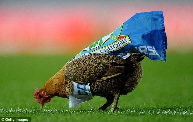 English chicken