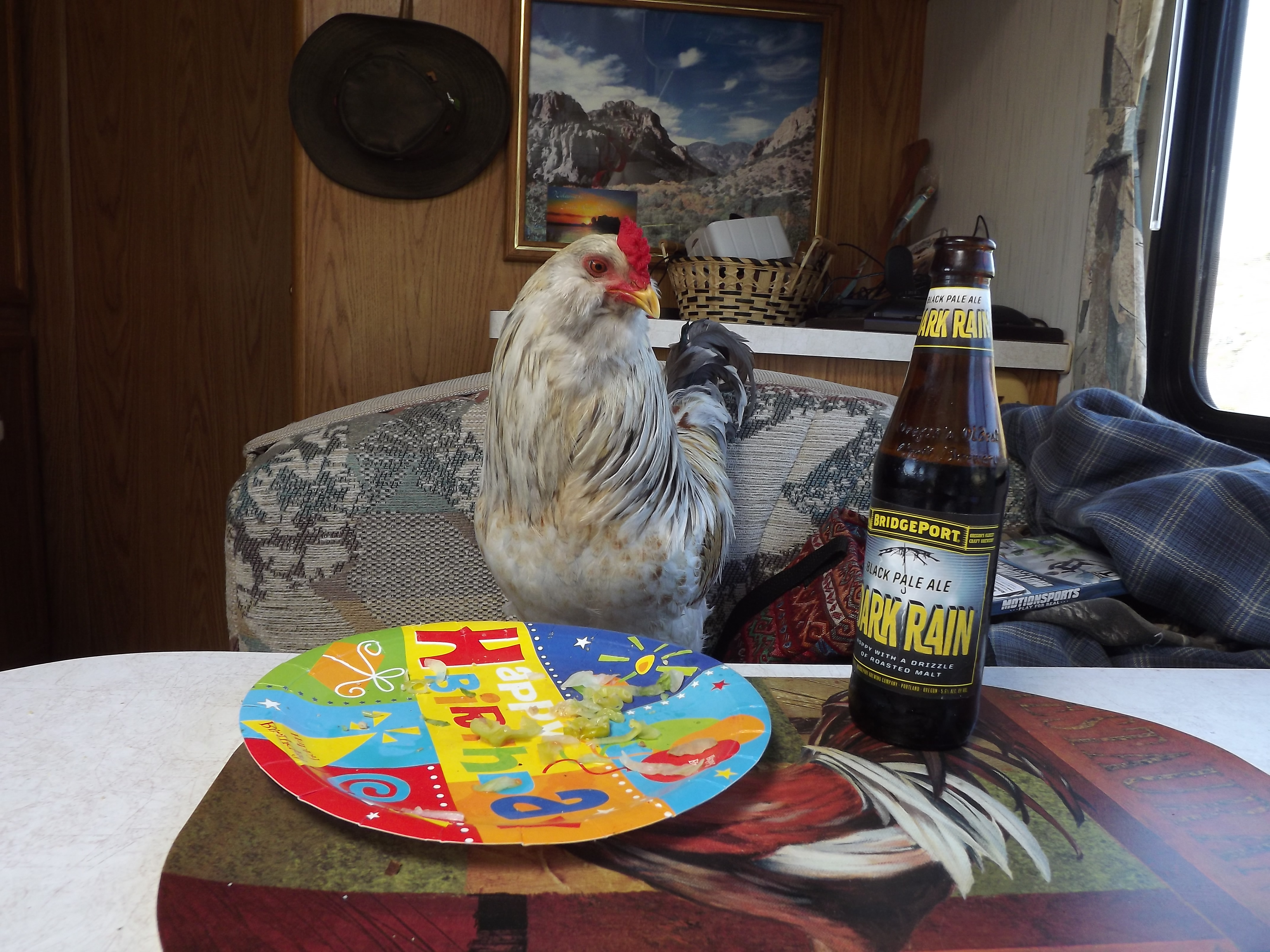 Enjoying a beer (not really) ;->