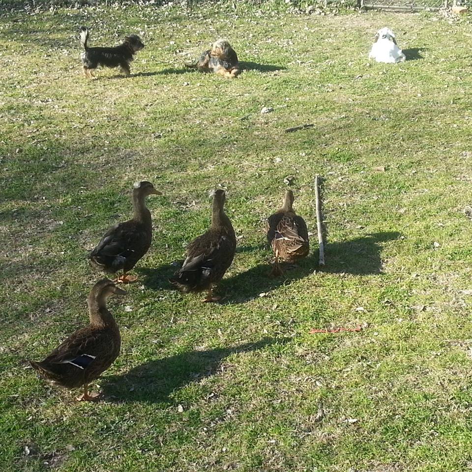 *
Enjoying a nice day, before the two boys got their colors.