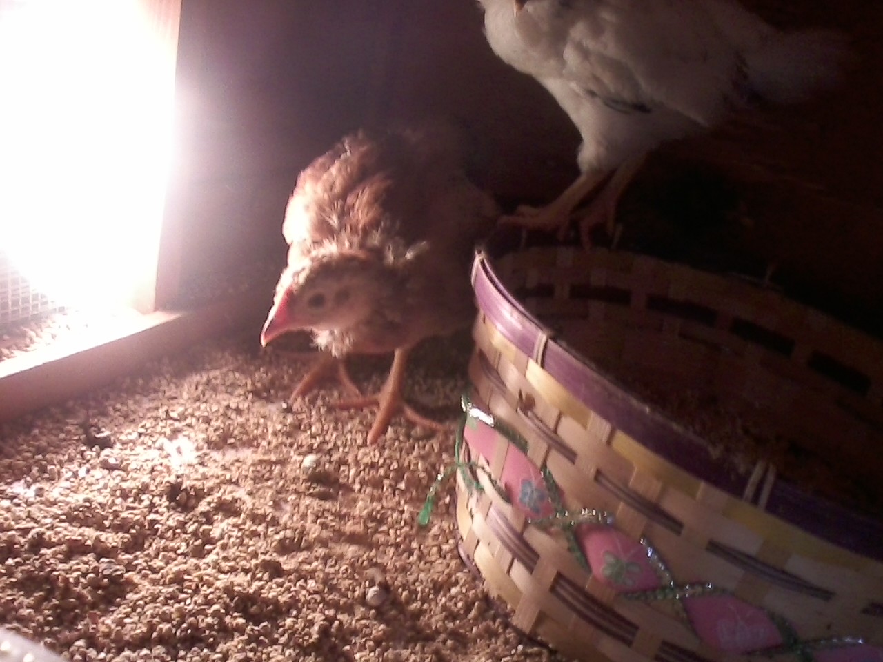 Enjoying controlled temp.