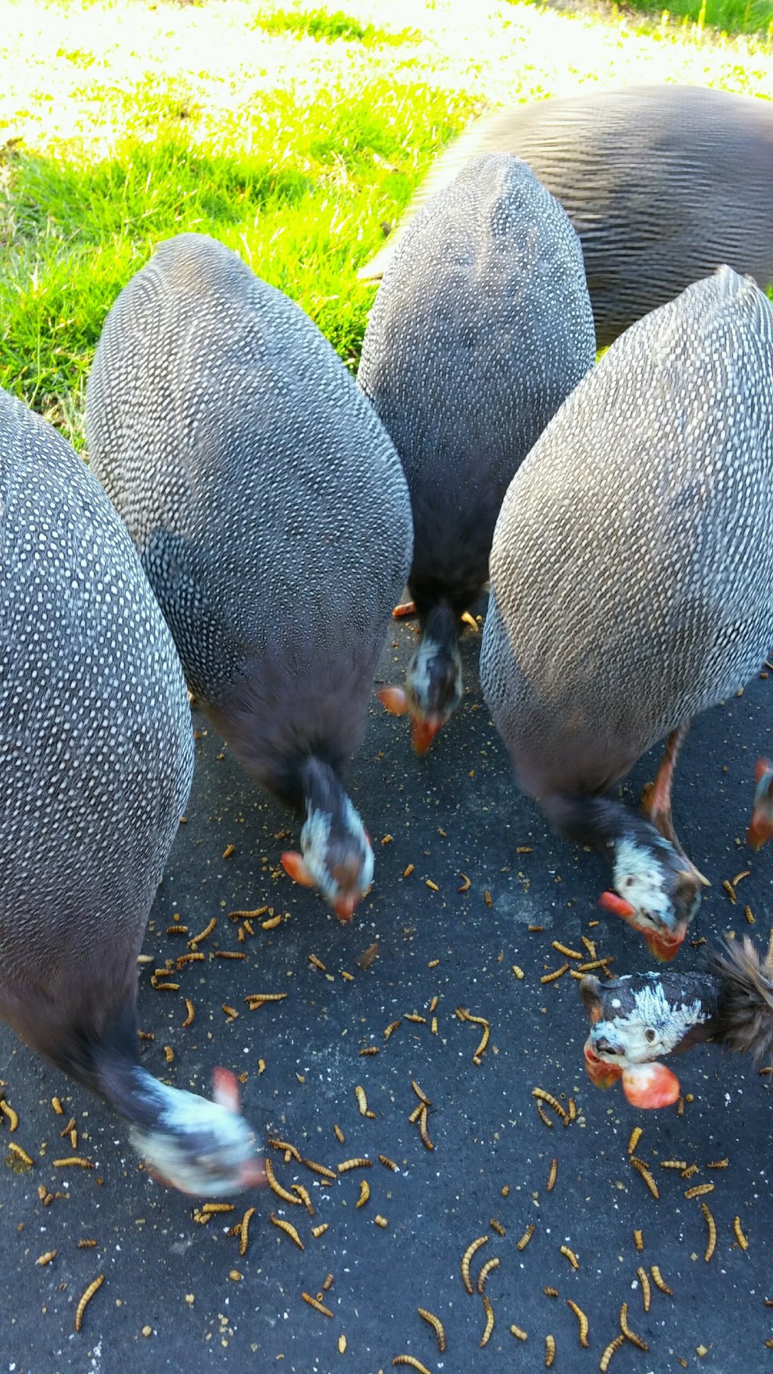 Enjoying Snacks