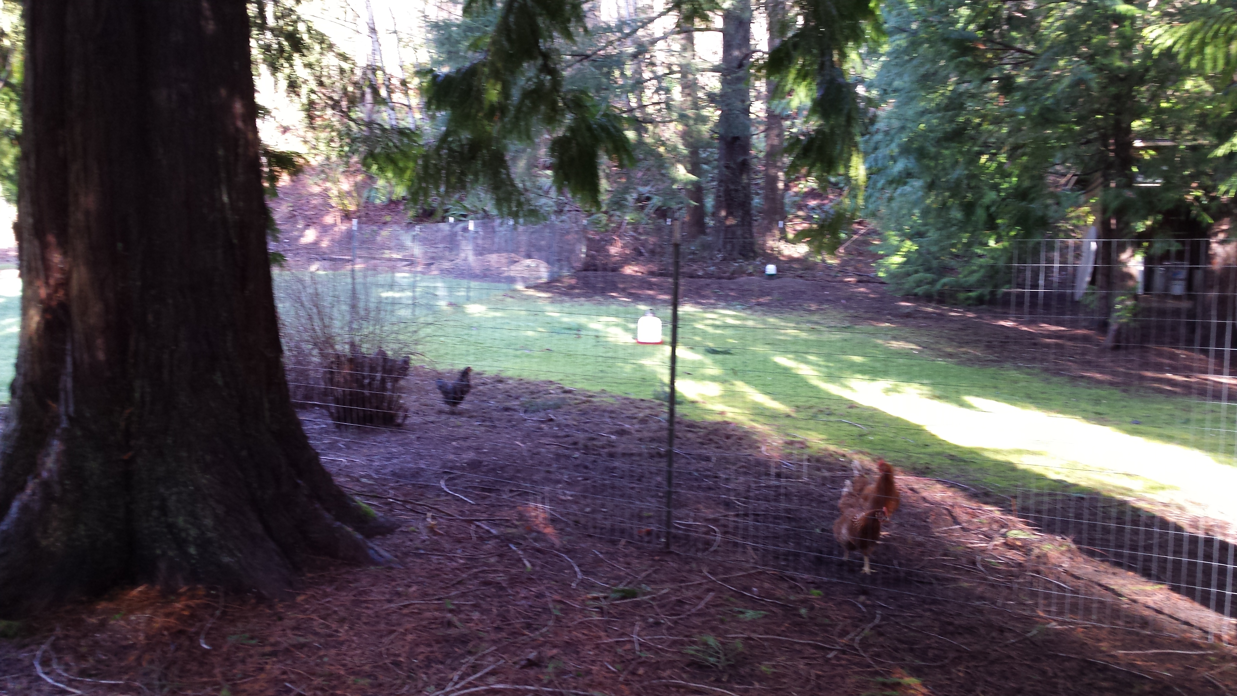 Enjoying some winter sunshine