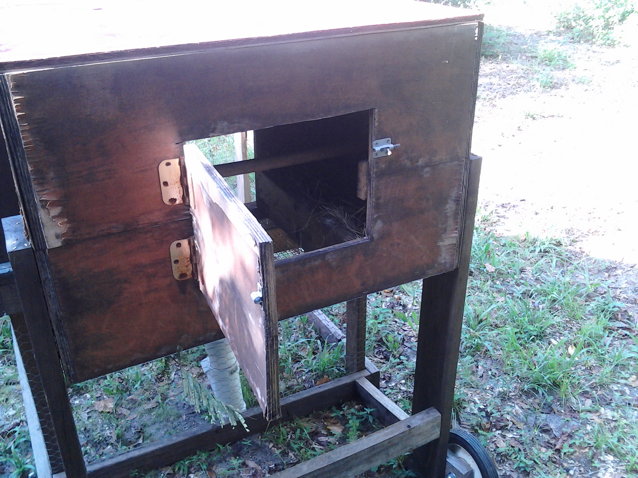 Entry to the nesting boxes
