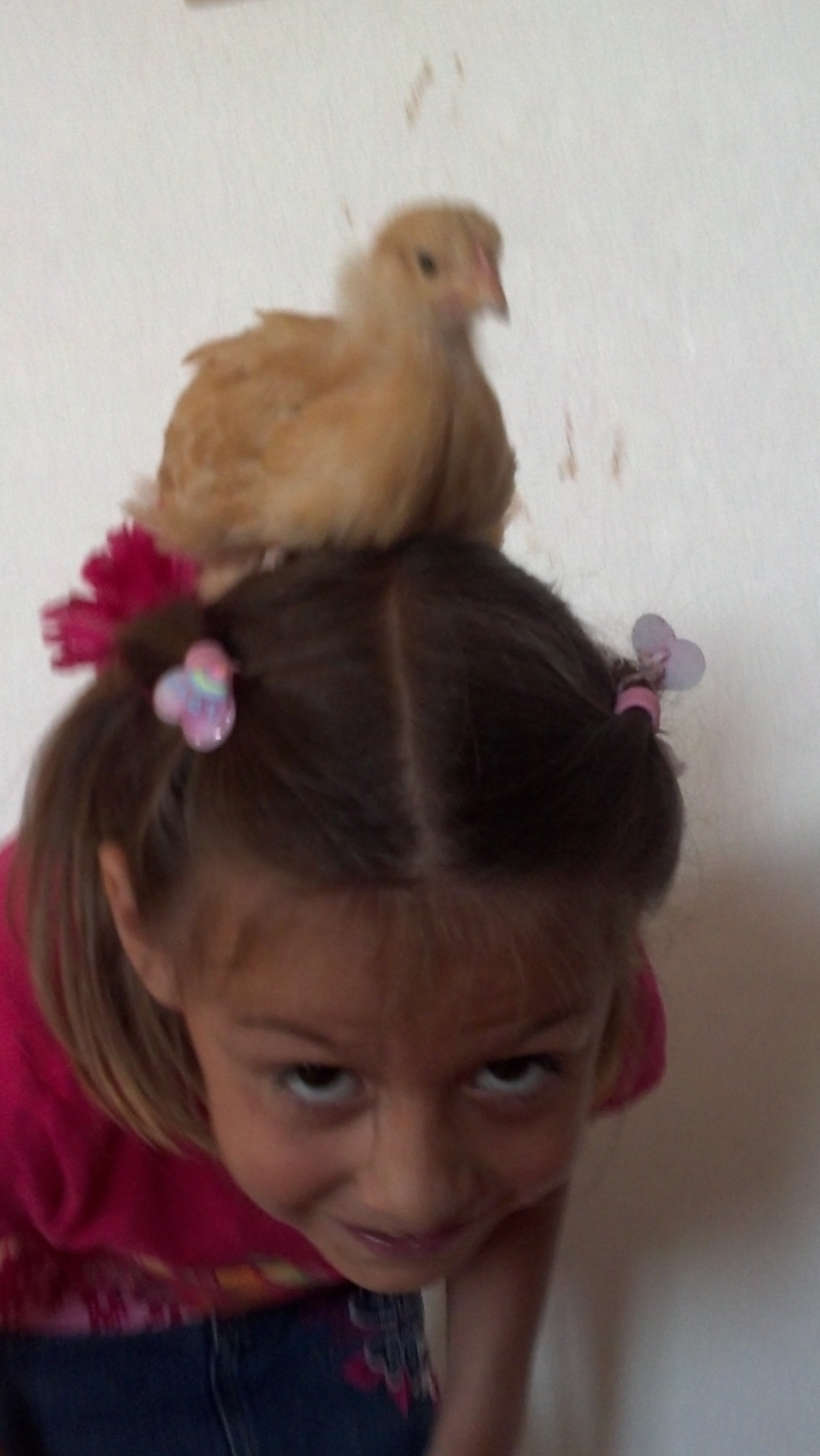 Esperanza and P. Butter