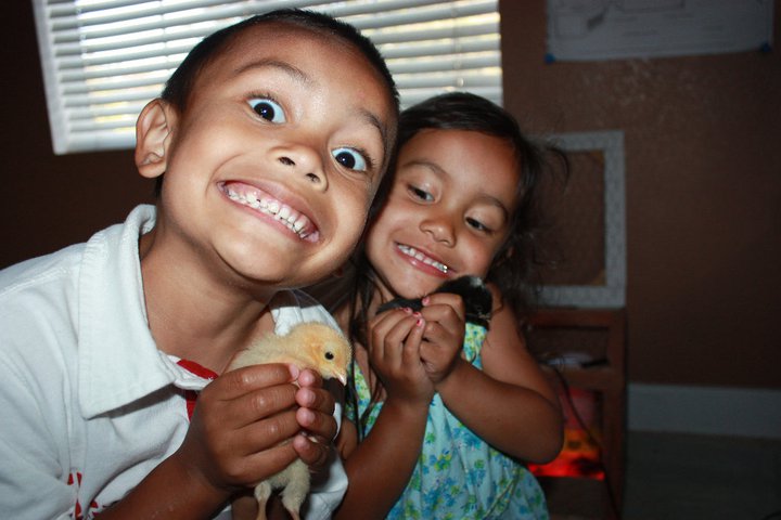 Ethan and Emily with two of our chicks