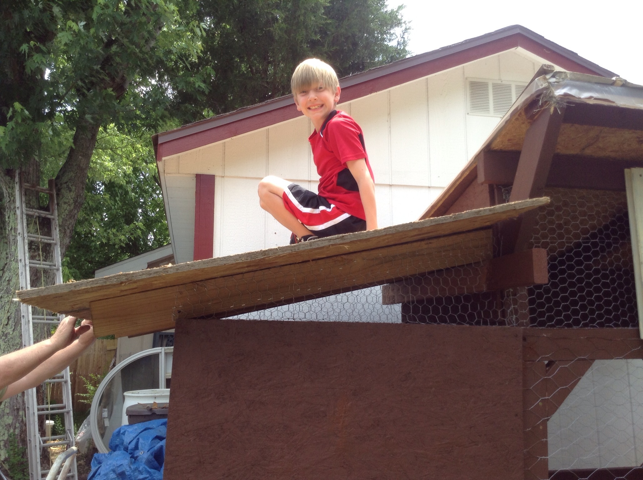 Ethan helping build coop. Such a good helper.