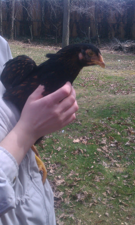 Ethel