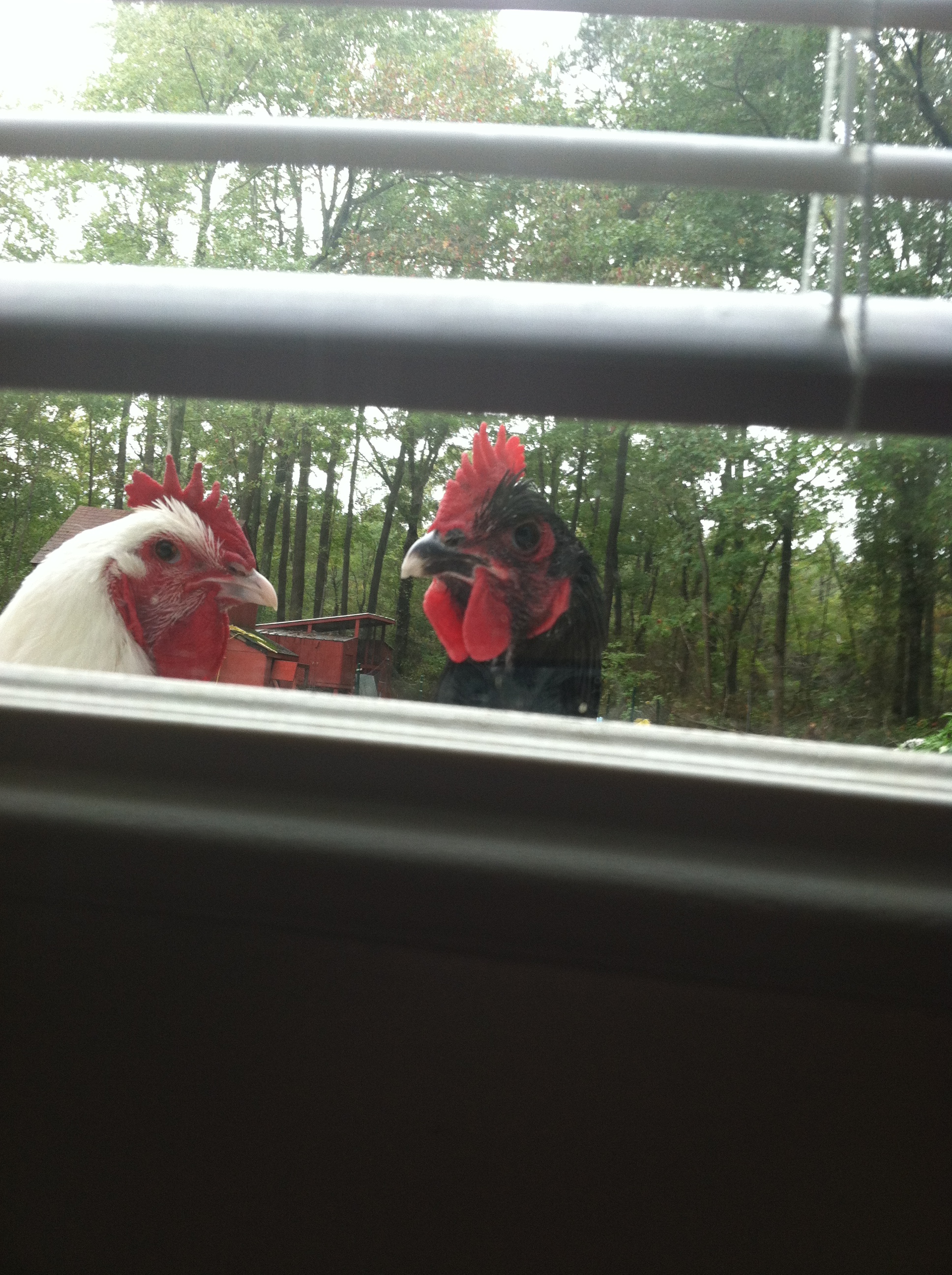 Ever feel like someone is staring at you?????