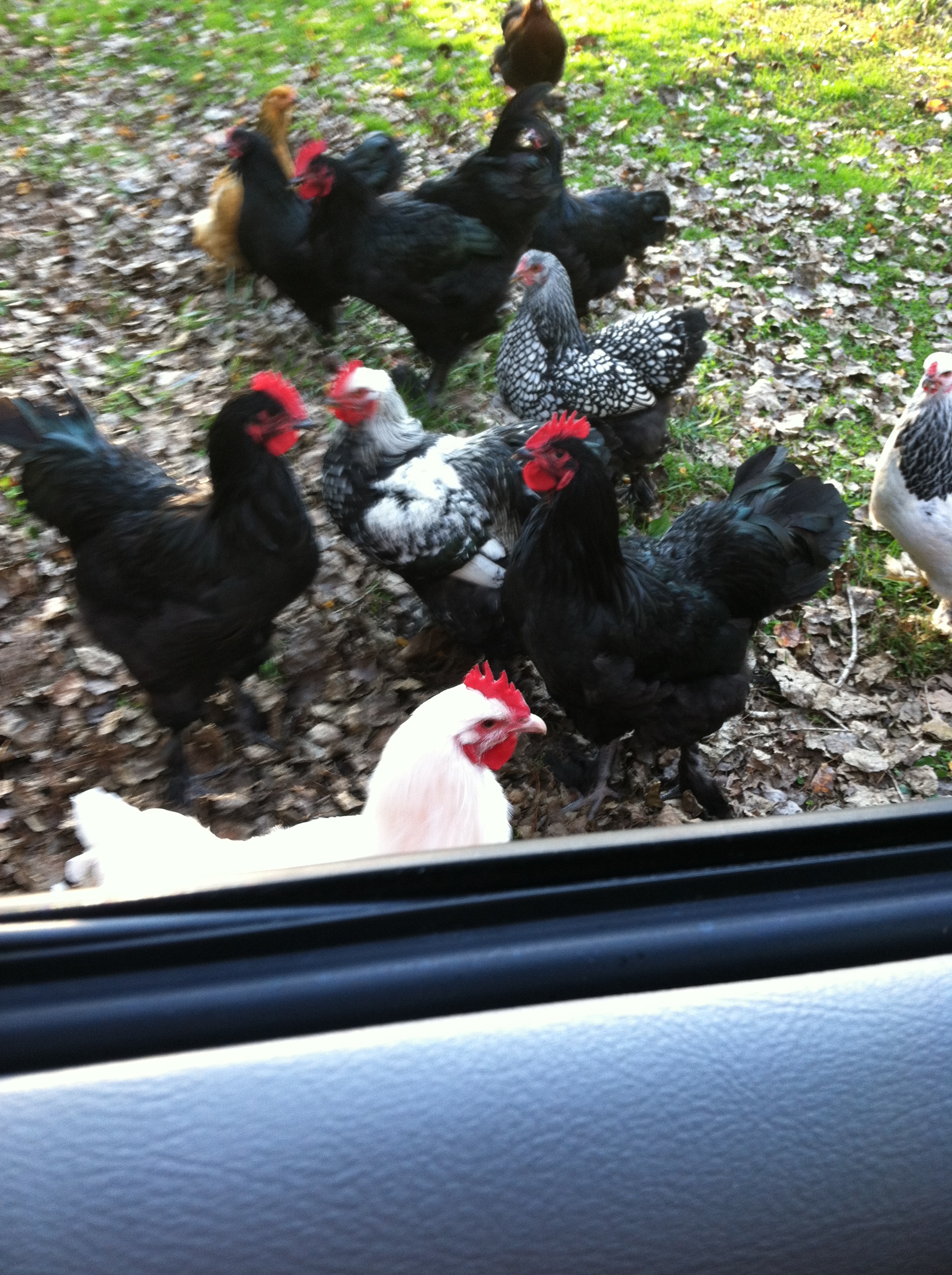 Every single day when I pull in the driveway.