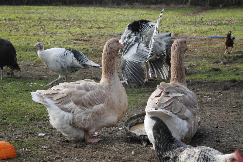 Everyone getting along.