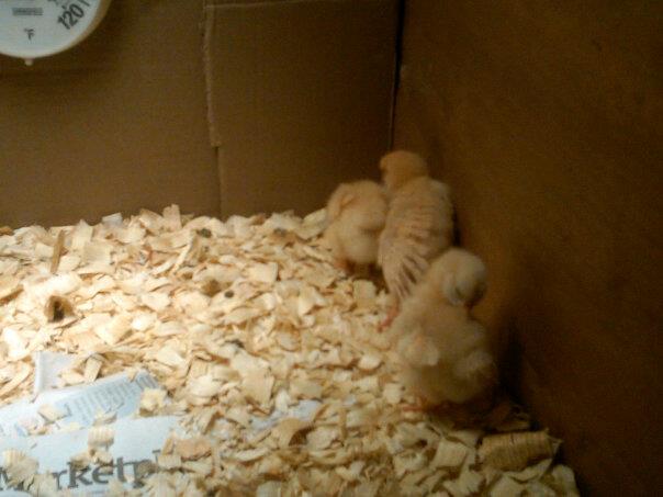 everyone getting comfy!