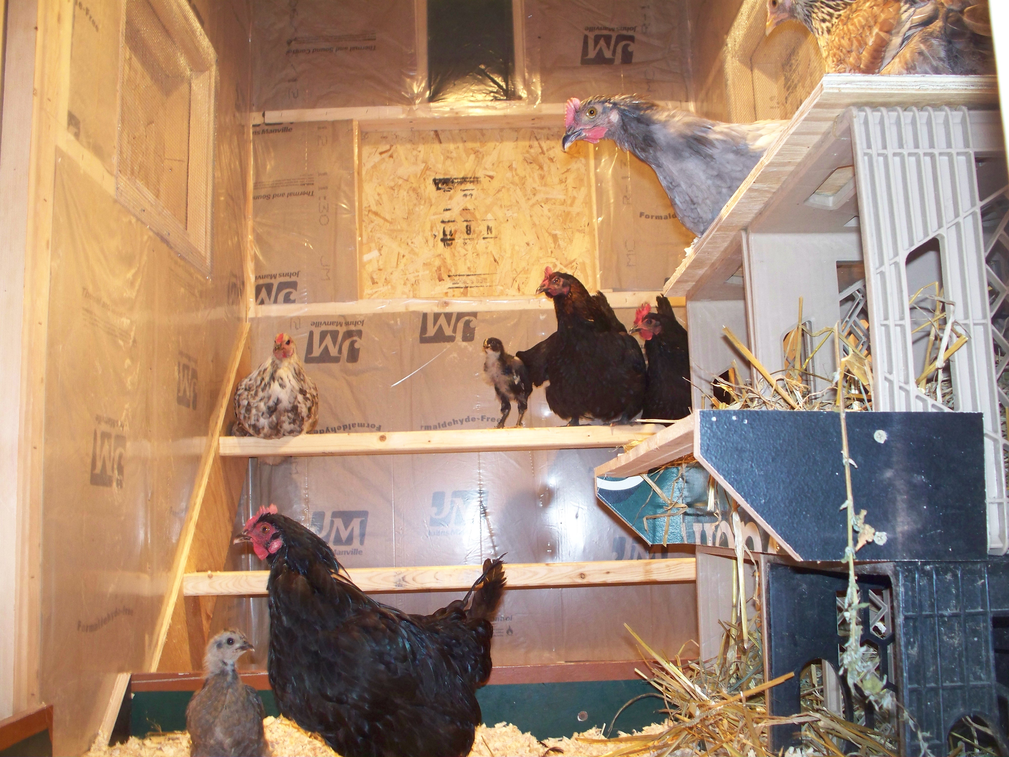 Everyone getting settled in for the night