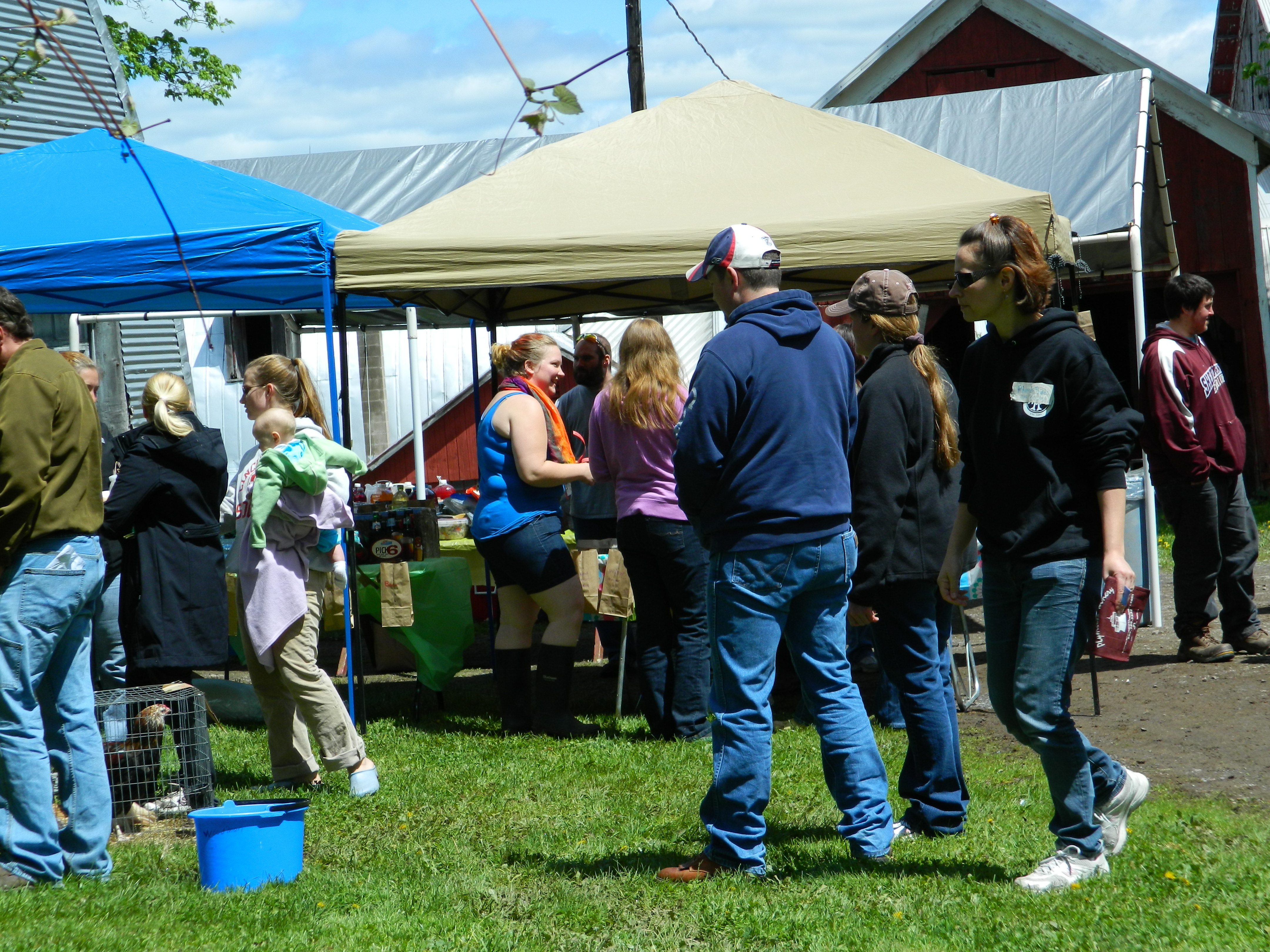 Everyone having a good time talking and looking at the raffle tables and getting some good food.  You can see Tab holding Nora to the left.
