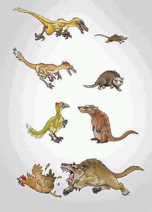 Evolution can be a *****..jpg