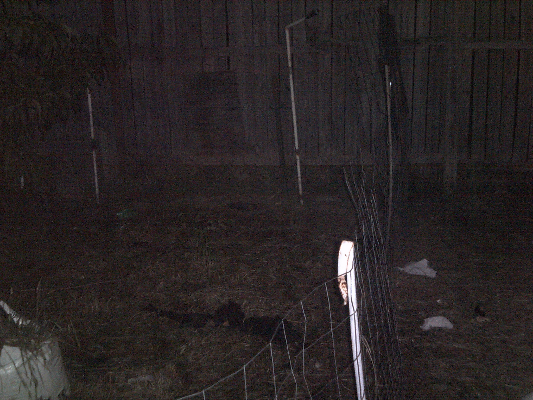 Expanded garden aera for ducks i wanted turkeys but oh well