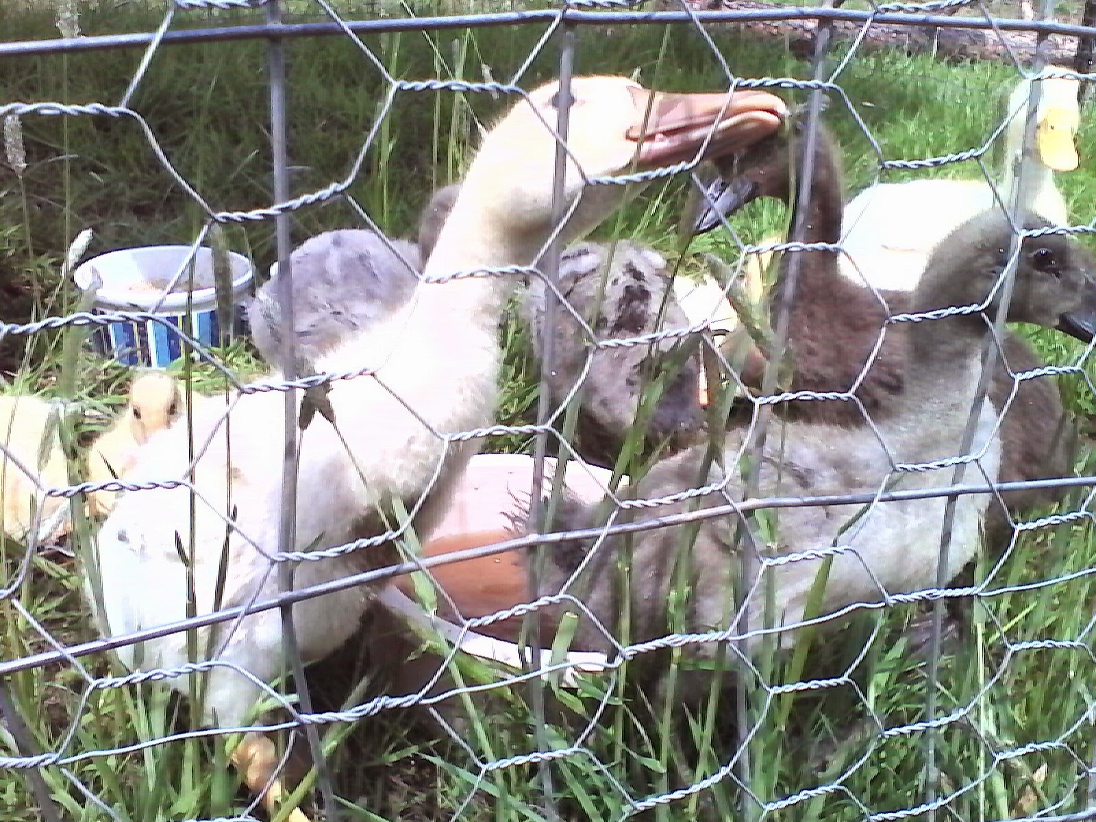 Exploring my surroundings