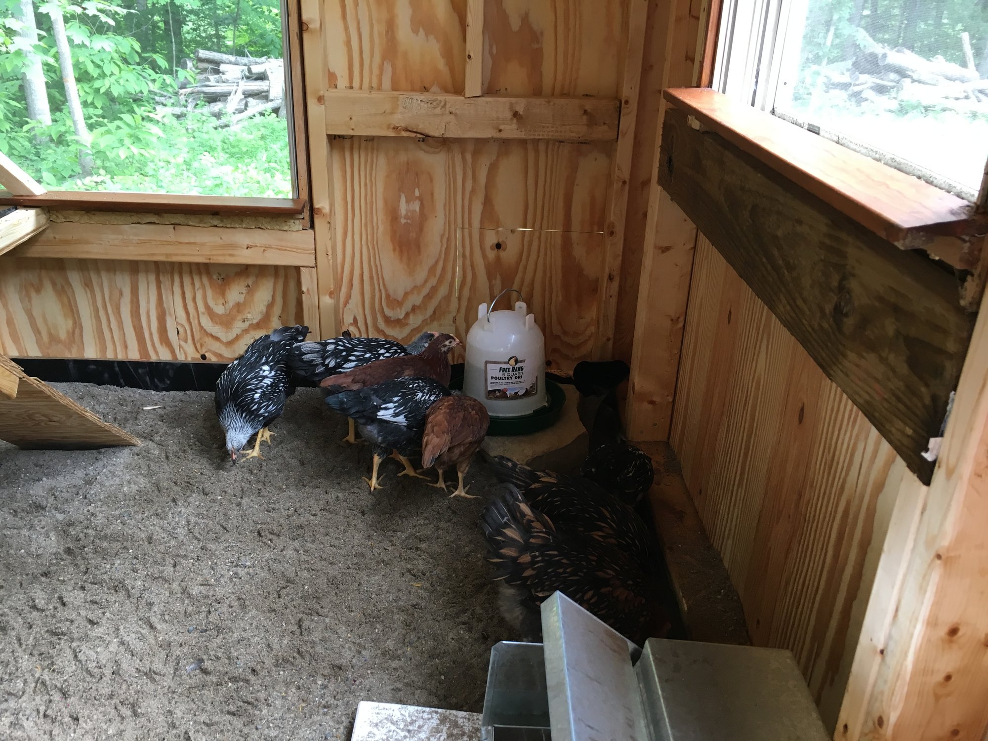 Exploring the waterer