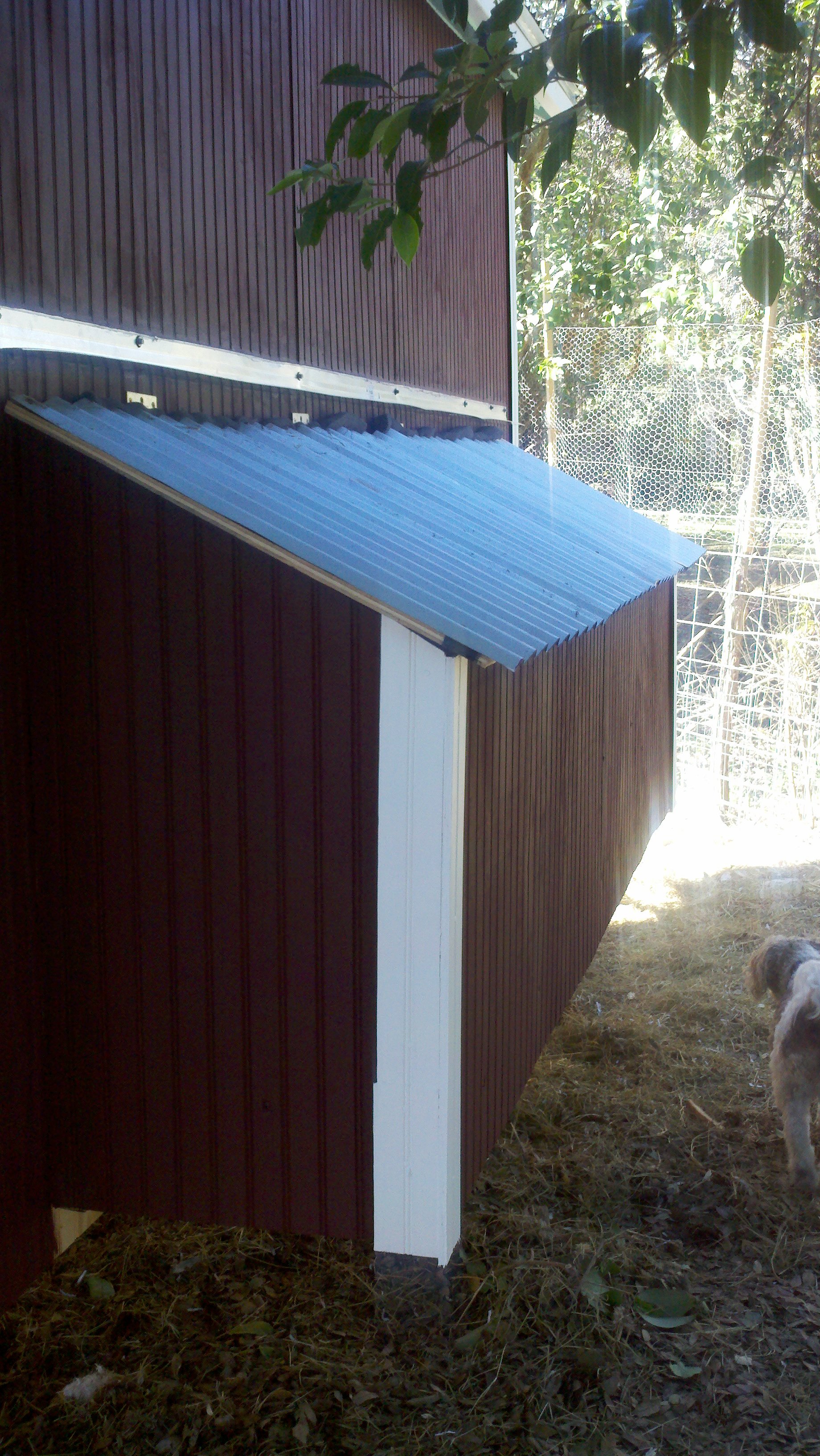 exterior nesting box access