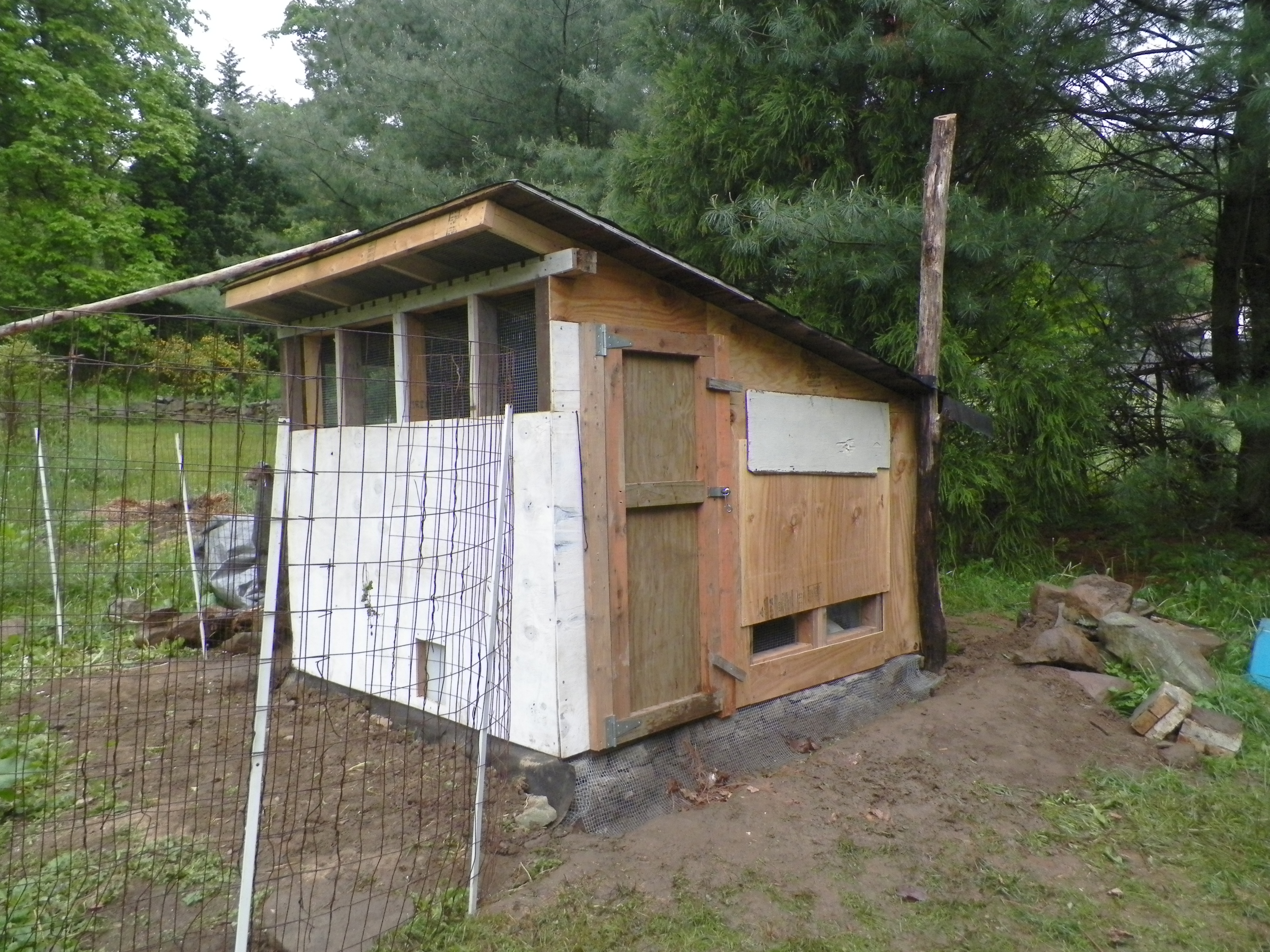 Exterior shot. We still need to add hardware, and there are temporary boards covering the egg box opening, until that is built. Also, primer and paint, trim, stone facings around base, and drop covers for all openings. Lots of work, but it's bird ready and they are in. Next...the run.