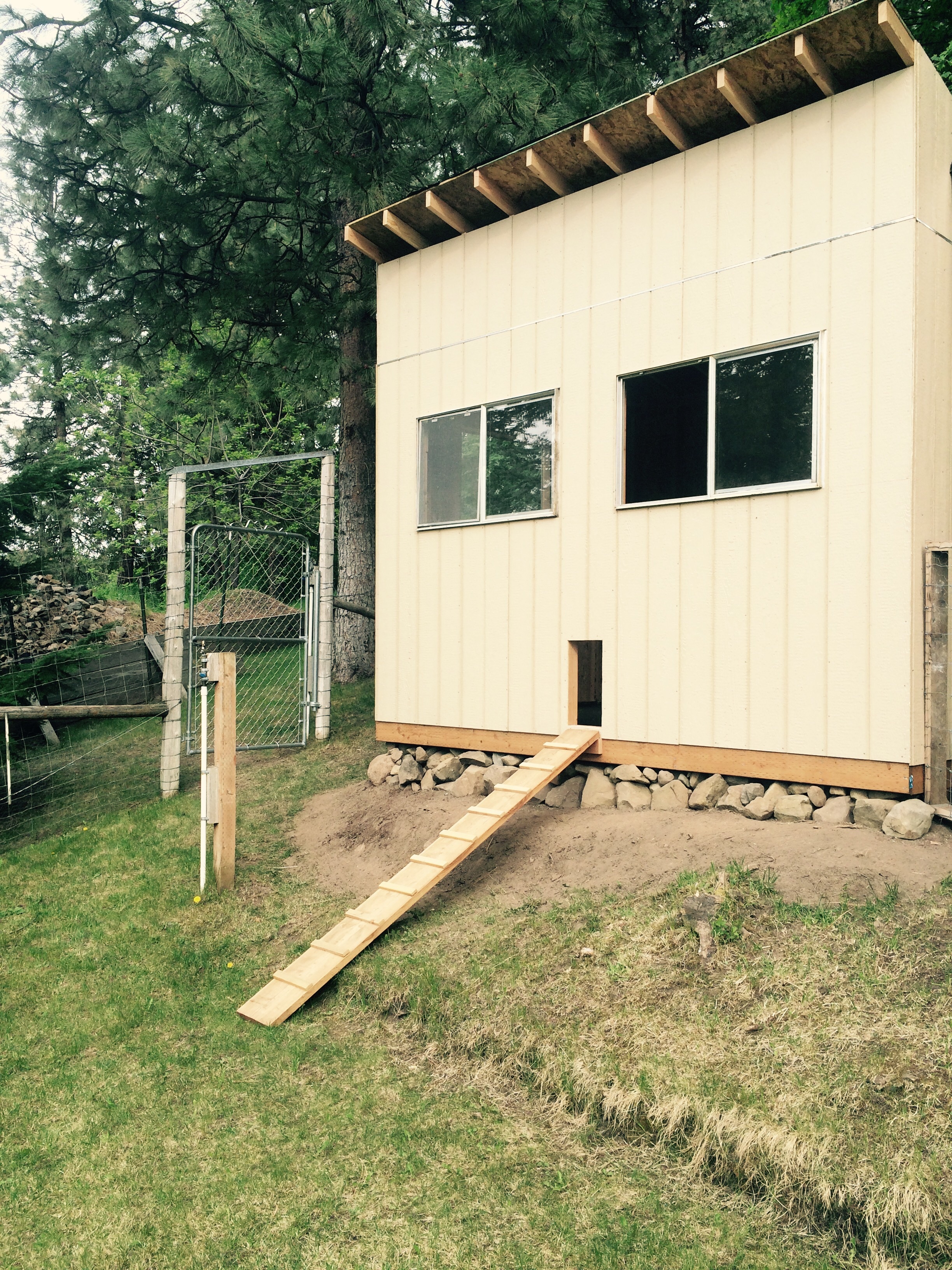 Exterior walls all done front is 10' high back wall is 8' high giving me a 3/12 pitch for the roof.