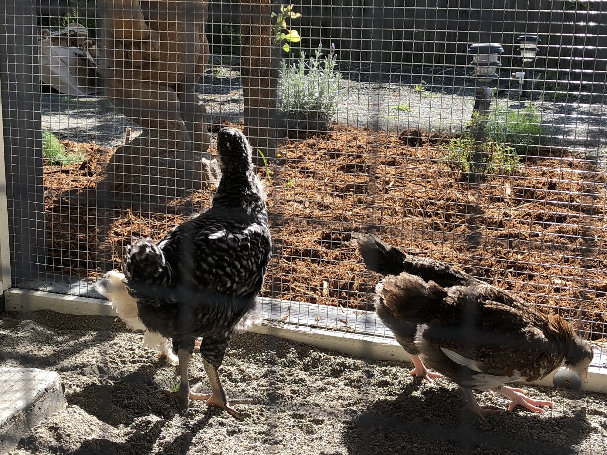 F1292EE0-4A60-436B-BC5B-E2CDE440FFF5