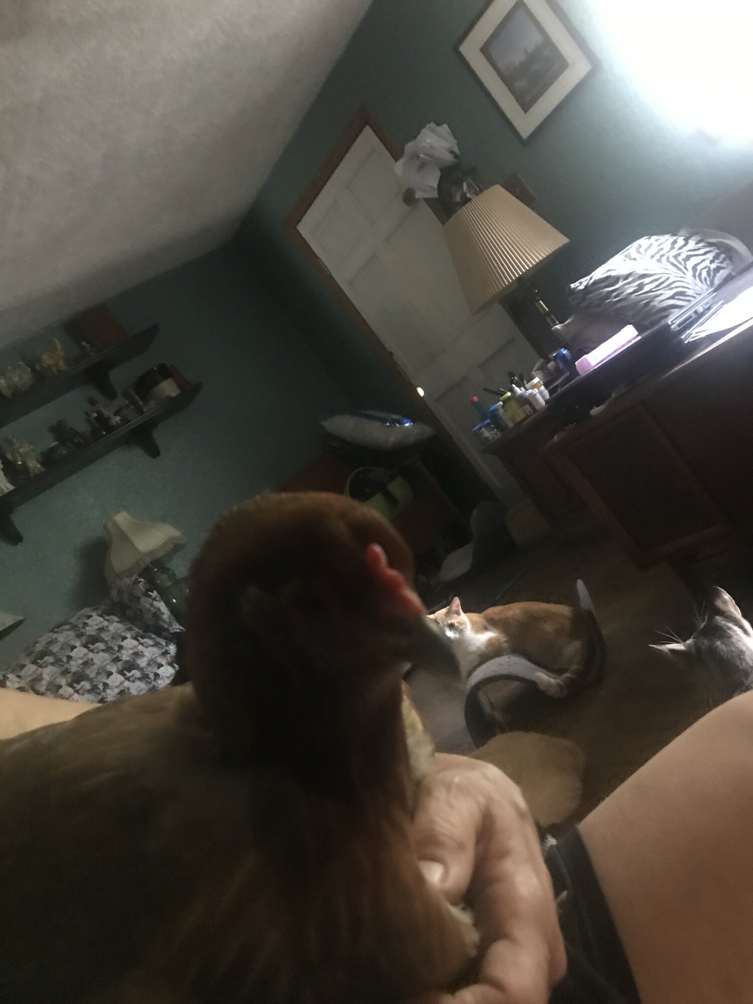 F590AD19-792C-4203-B83D-DED957D9B81C.jpeg