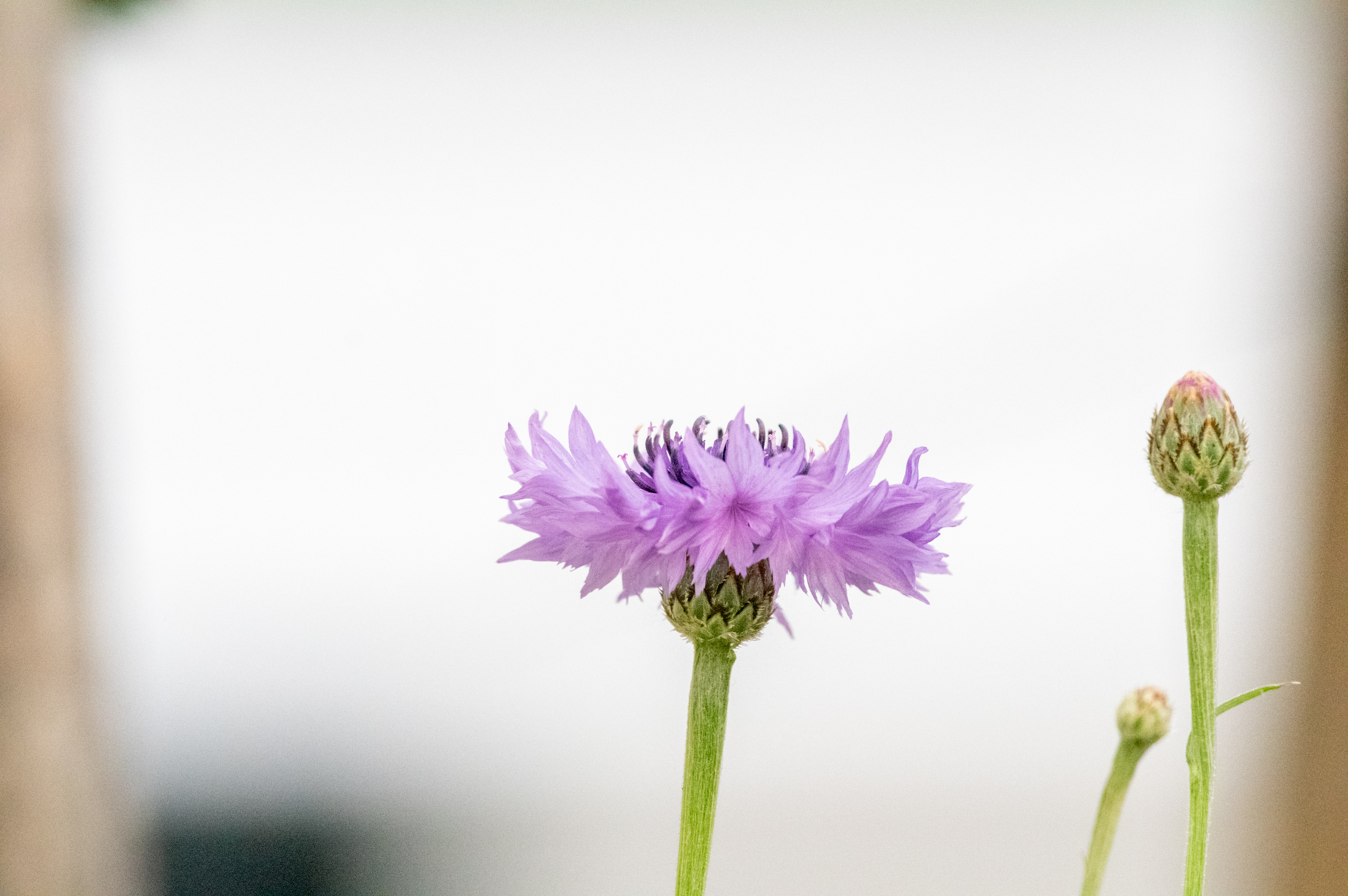 f8,2500s,12800 (2).jpg