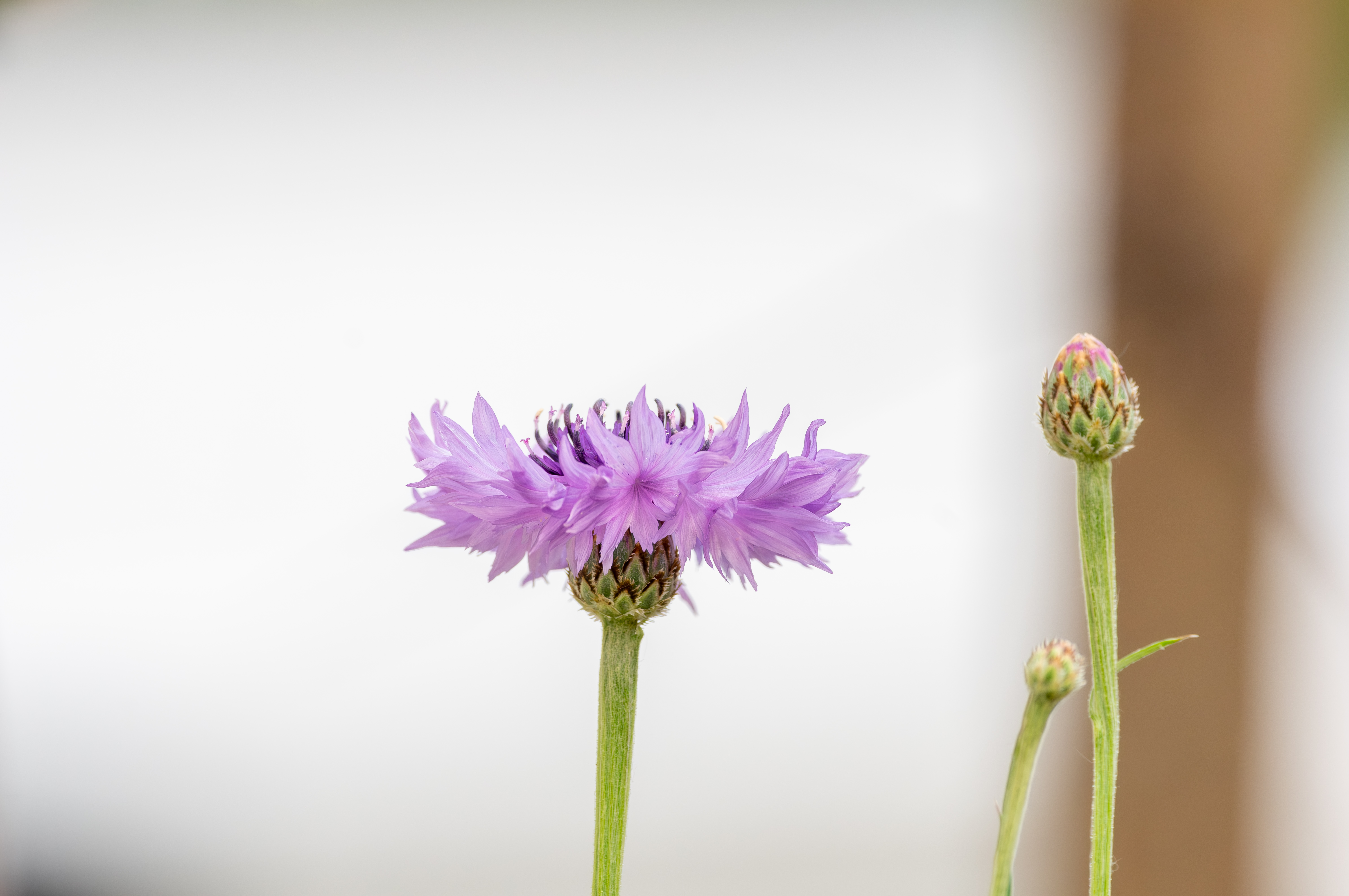 f8,320s,1600 (1).jpg