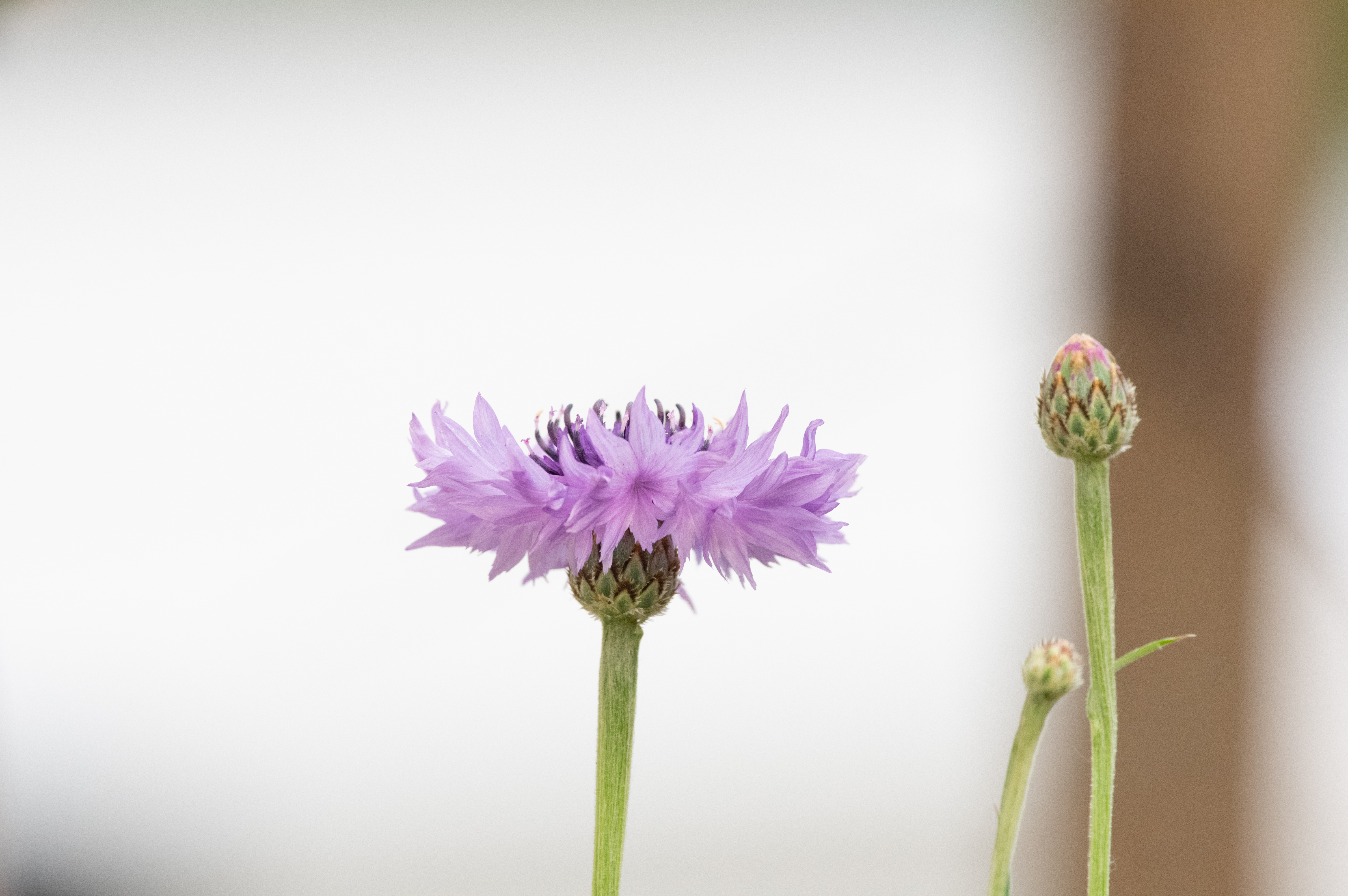 f8,320s,1600 (2).jpg