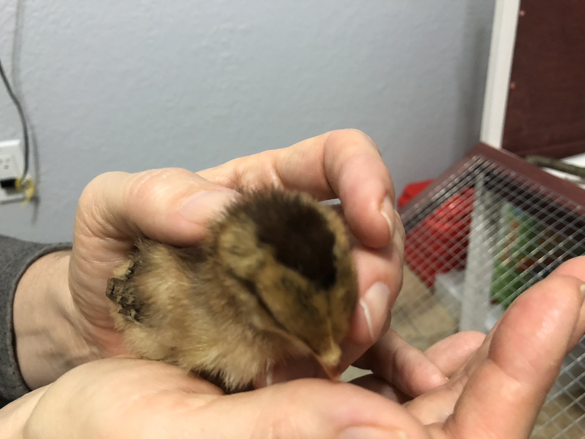 F854EE13-0FA5-472E-8FA5-0898C83F6965