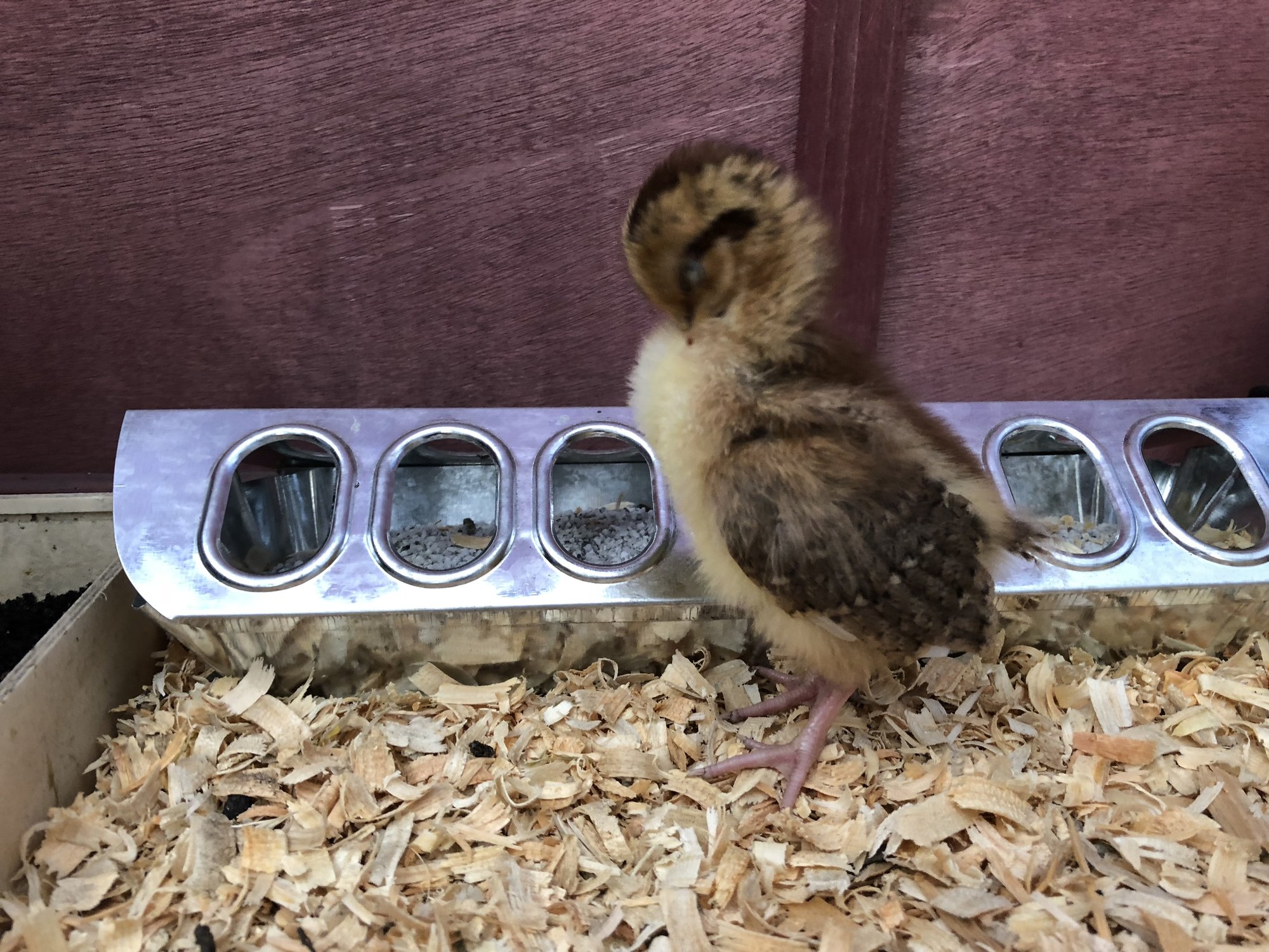 F92C228D-0753-4092-BAF7-173AE926BE2D