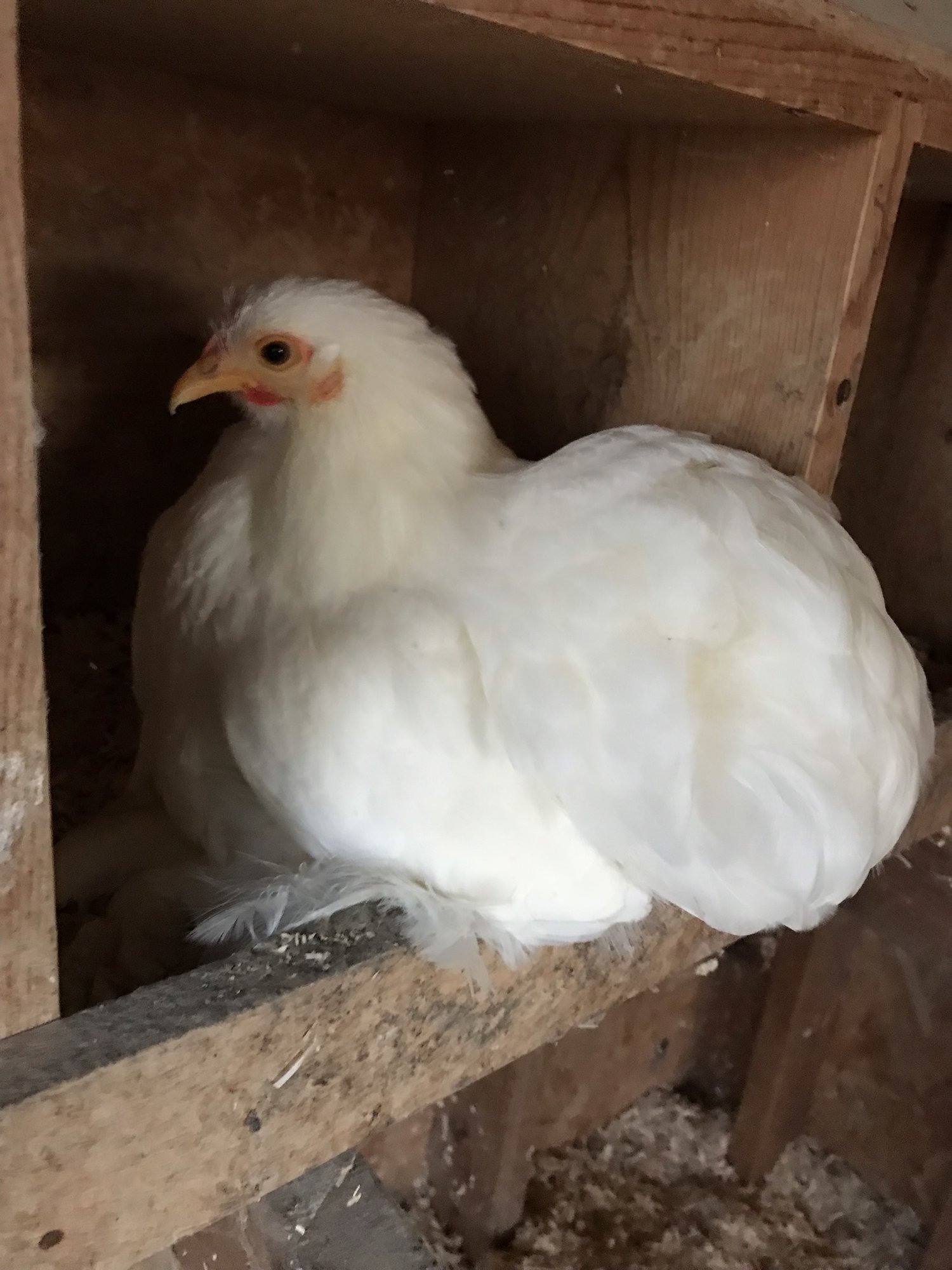 FA290FBF-E0CA-4A9D-8905-817C8DED7C79