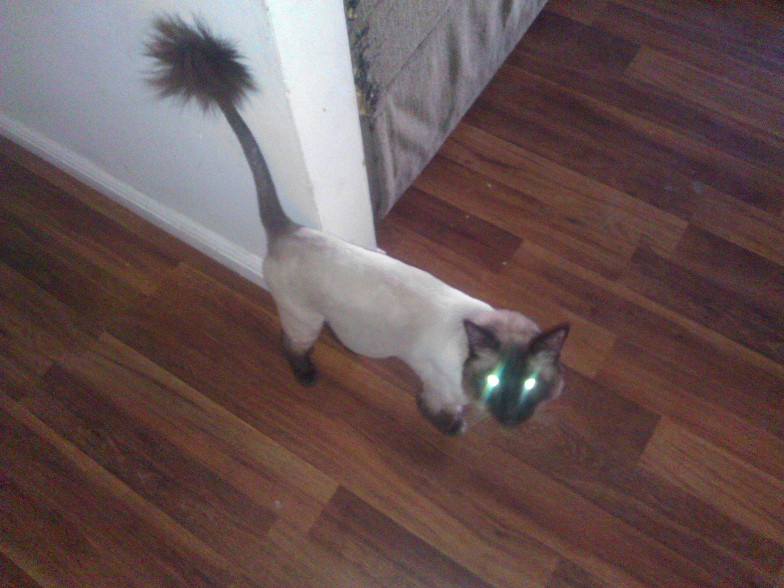 Fador's haircut ^o^