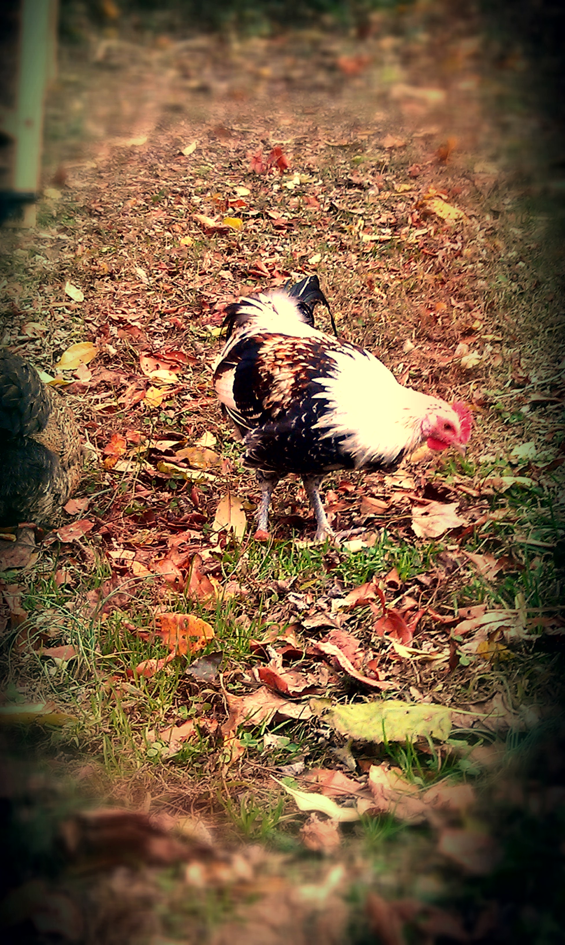 Fall 2013. Percy