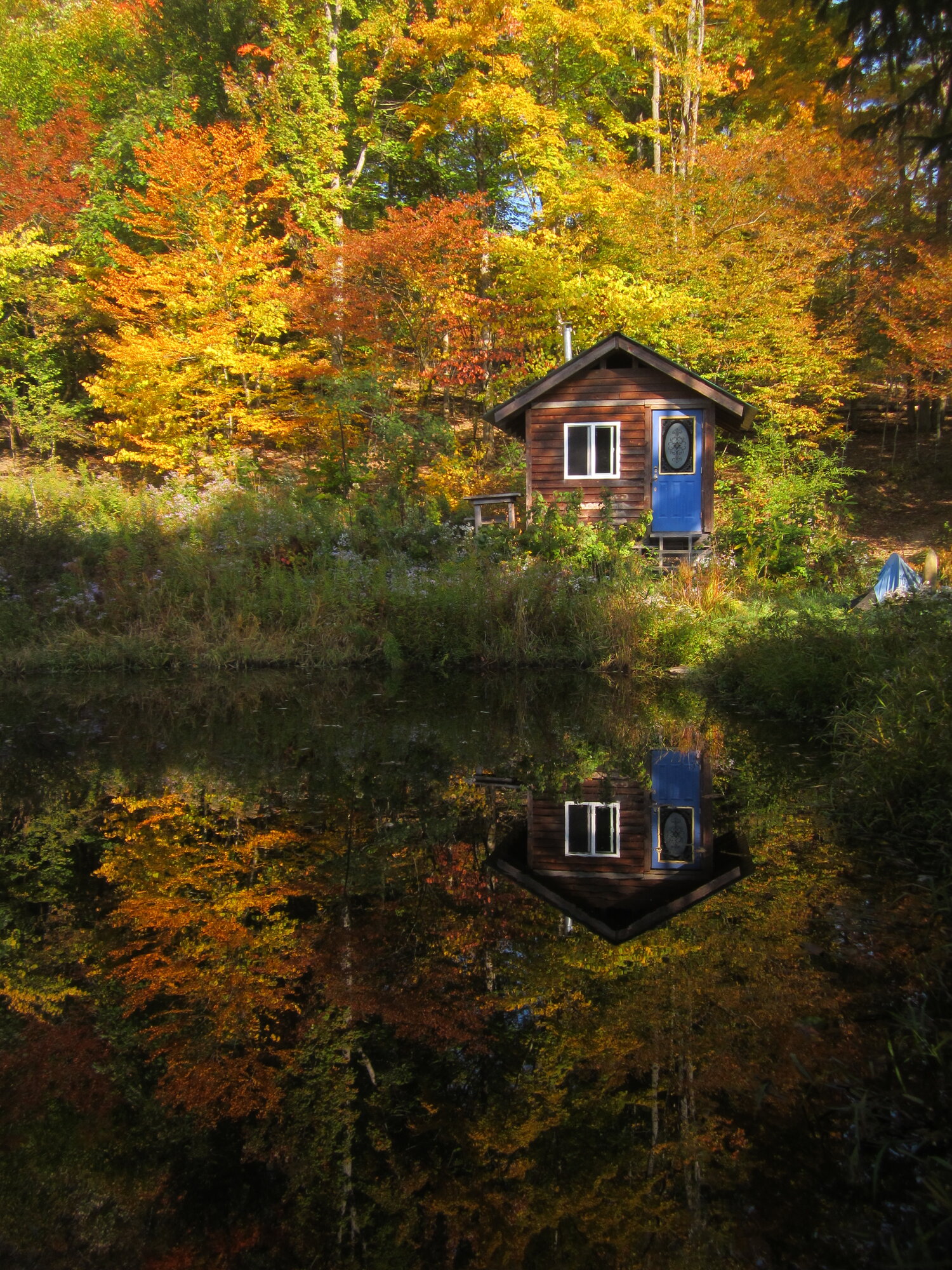 fall colors on the pond
