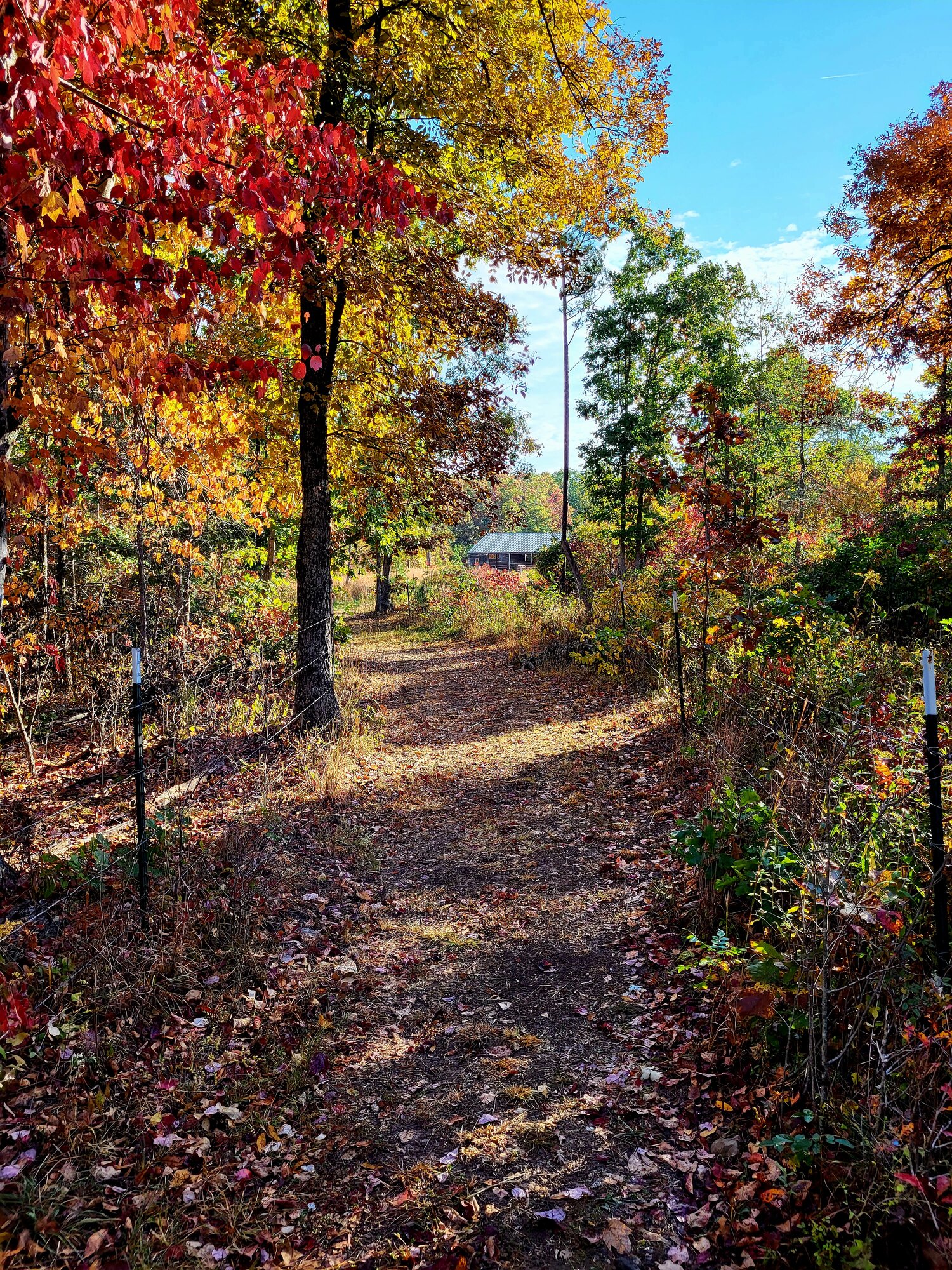 Fall Fun Photo Contest 1.jpg
