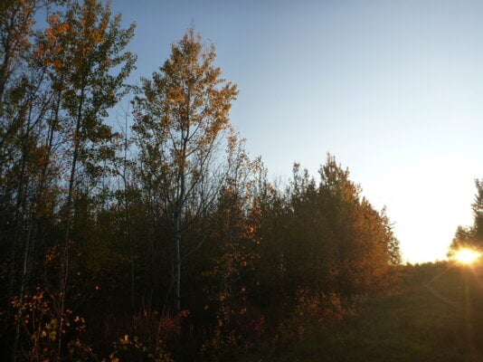 Fall Fun Photo Contest 10.jpg