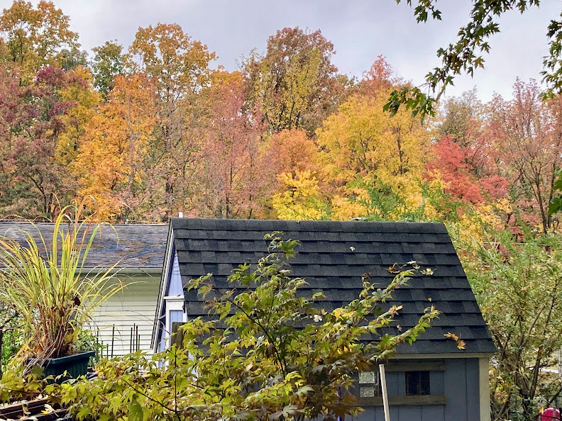 Fall Fun Photo Contest 15.jpg