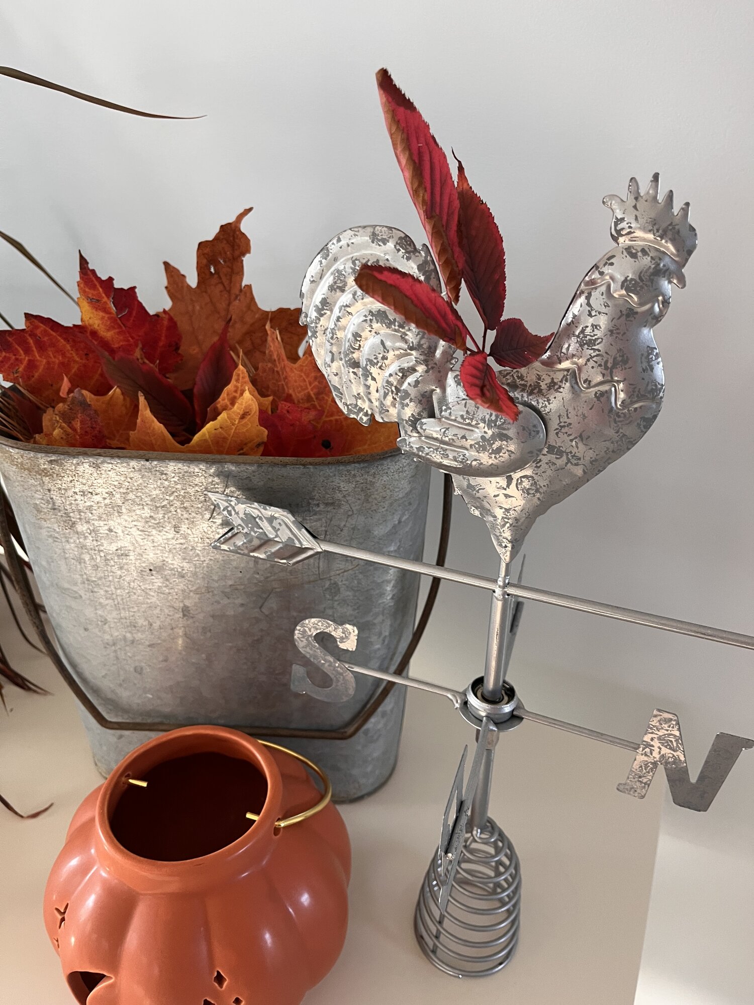 Fall Fun Photo Contest 17.jpg