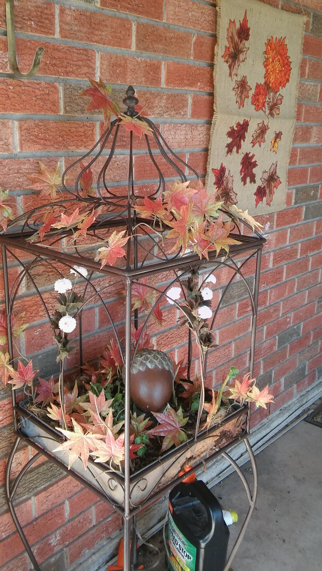 Fall Fun Photo Contest 18.jpg