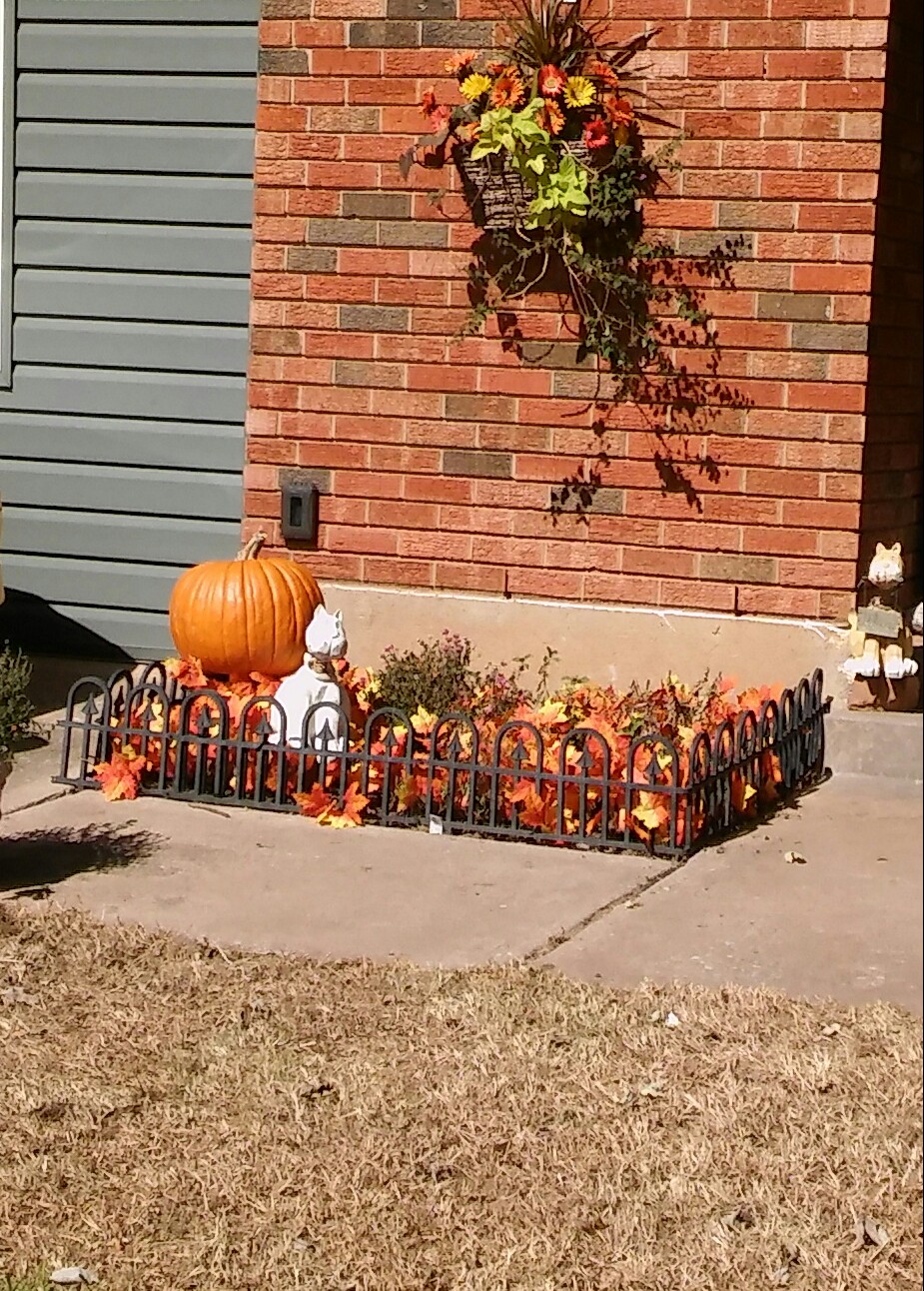Fall Fun Photo Contest 19.jpg