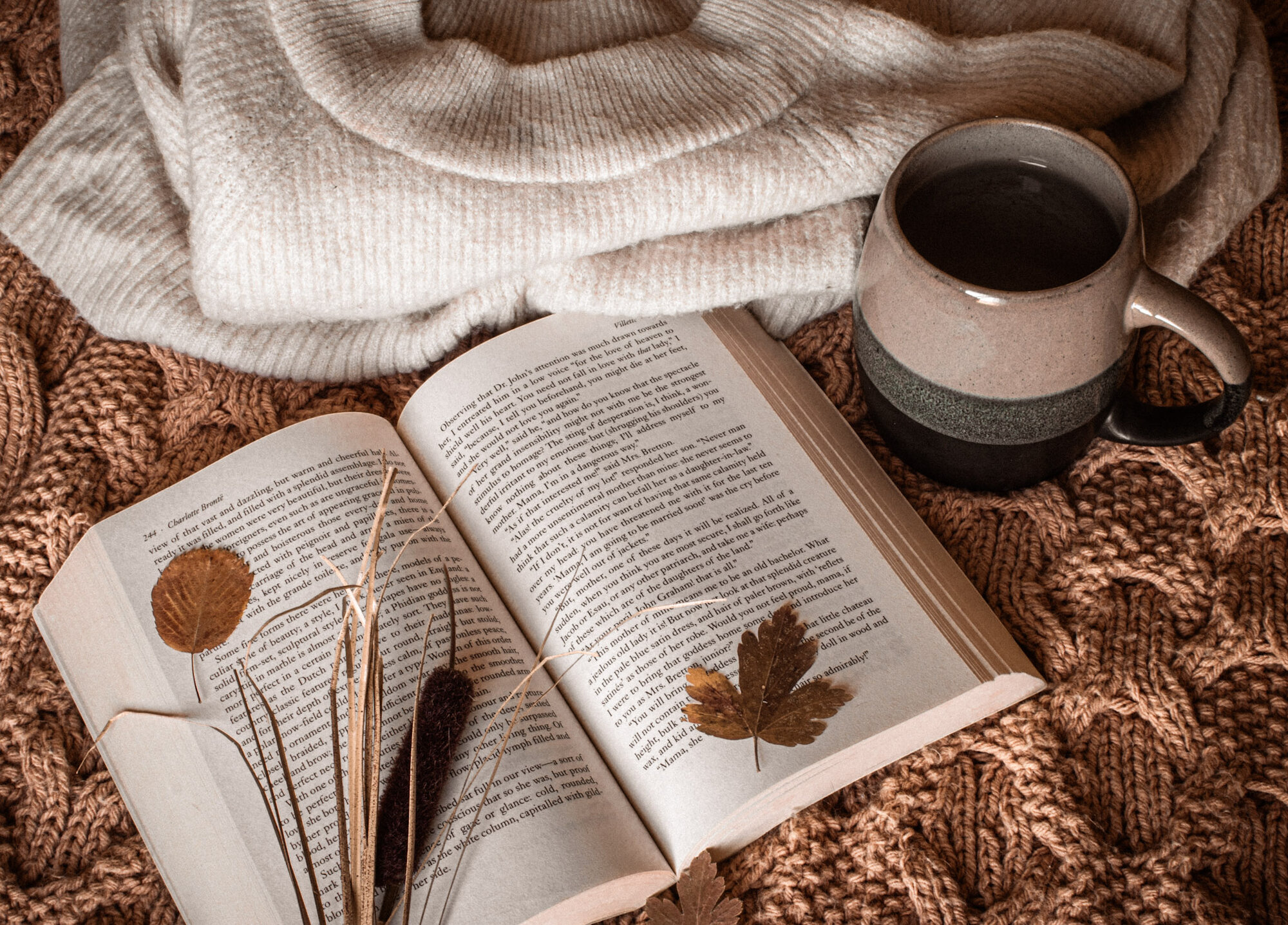 Fall Fun Photo Contest 2.jpg