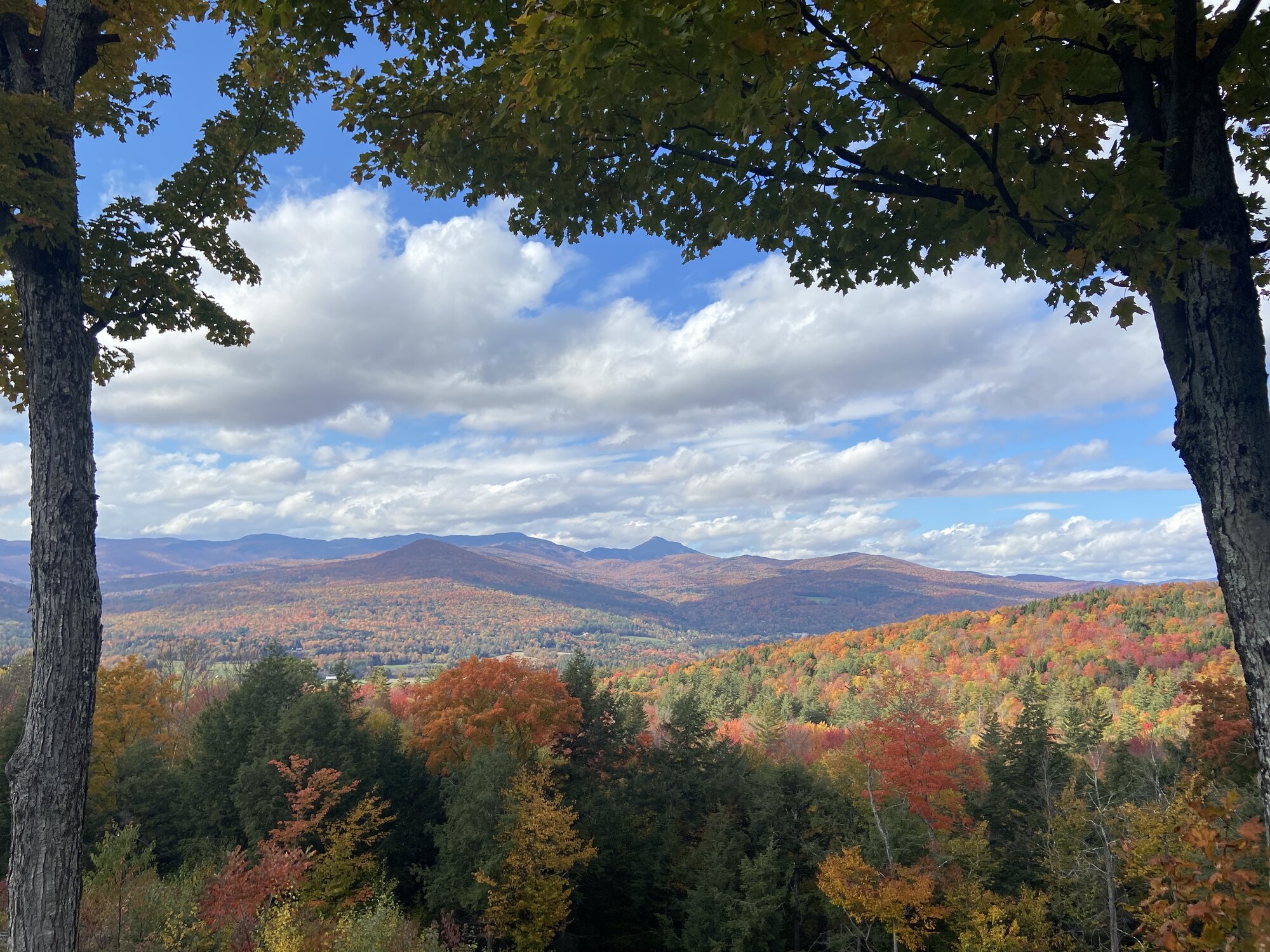 Fall Fun Photo Contest 20.jpg
