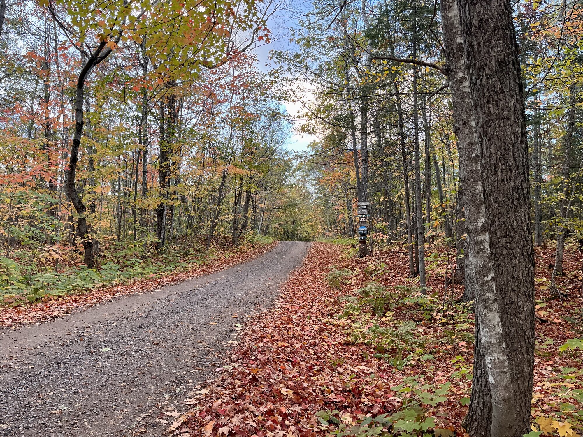 Fall Fun Photo Contest 23.jpg