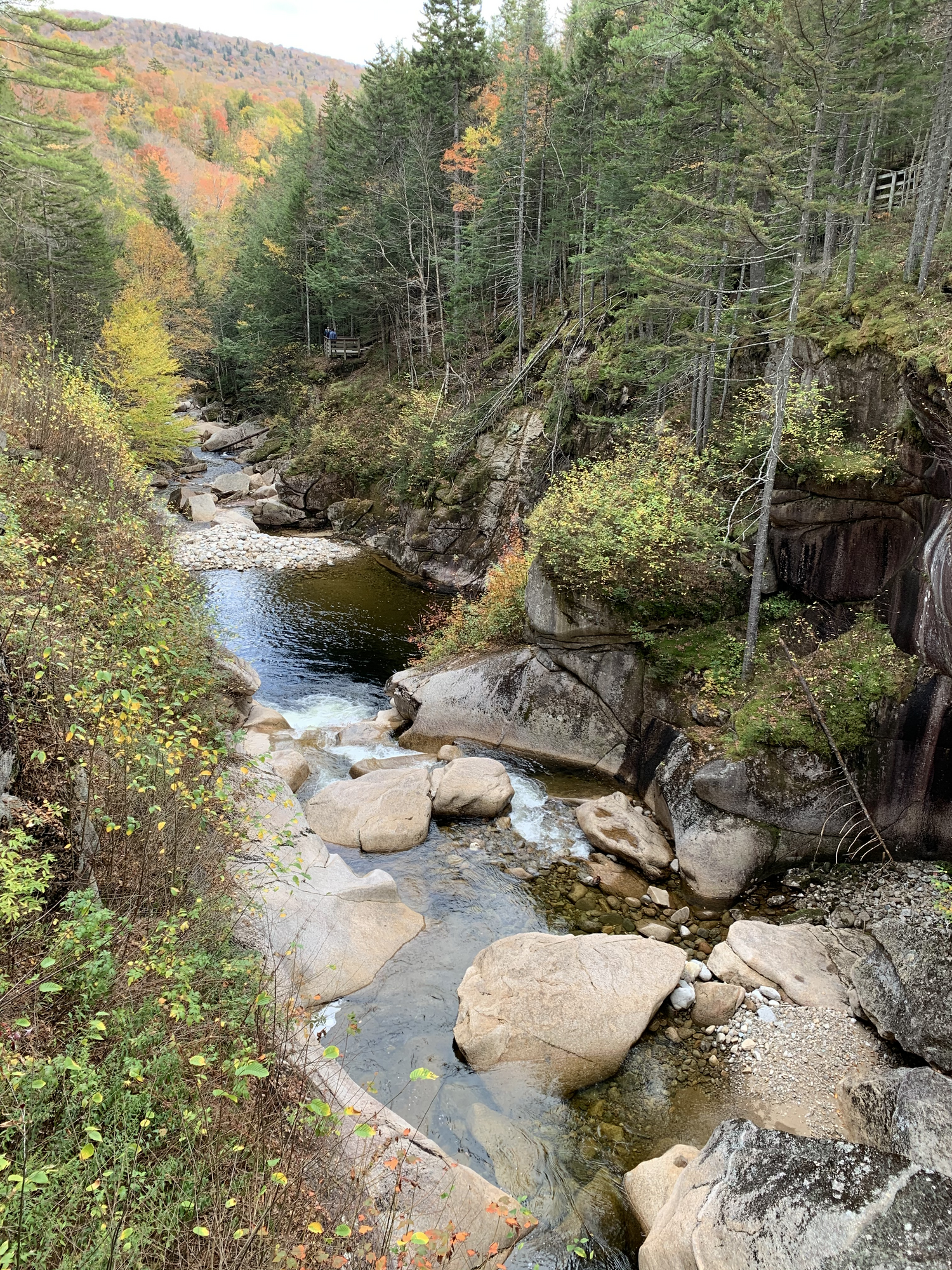 Fall Fun Photo Contest 25.png